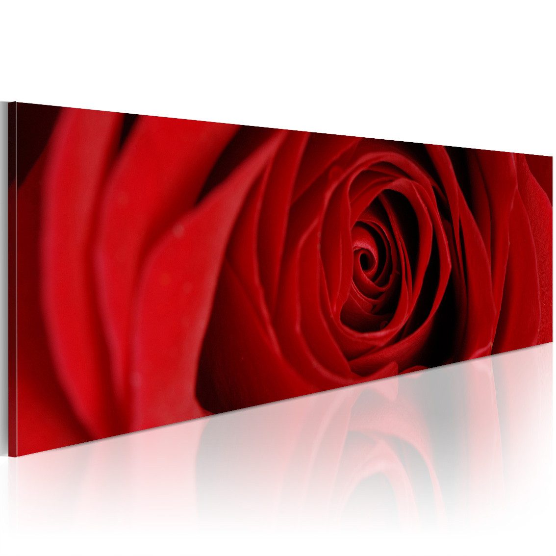 Artgeist Wandbild Mitternachtsrose