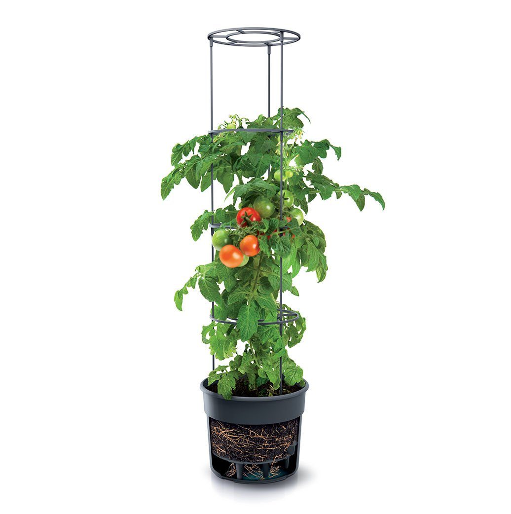 Spetebo Blumentopf Tomaten Pflanz Topf m. günstig online kaufen