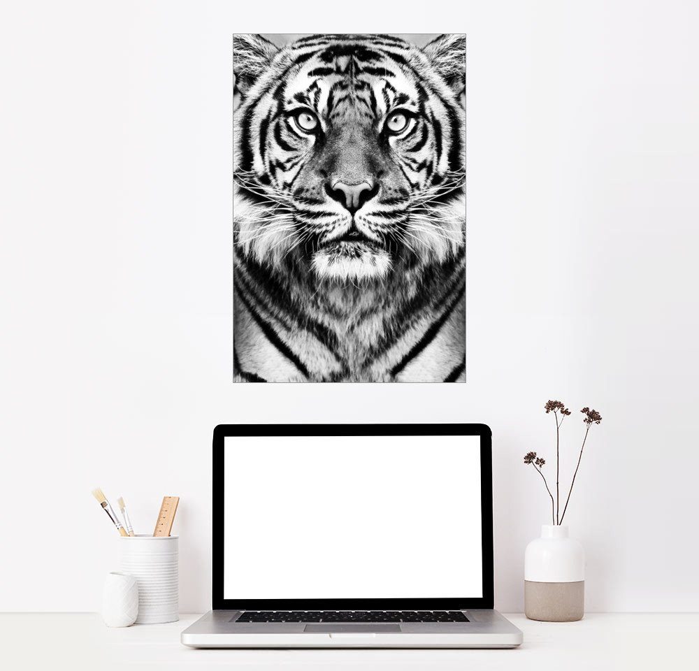 Posterlounge Wandbild, Majestätischer Tiger kaufen | OTTO