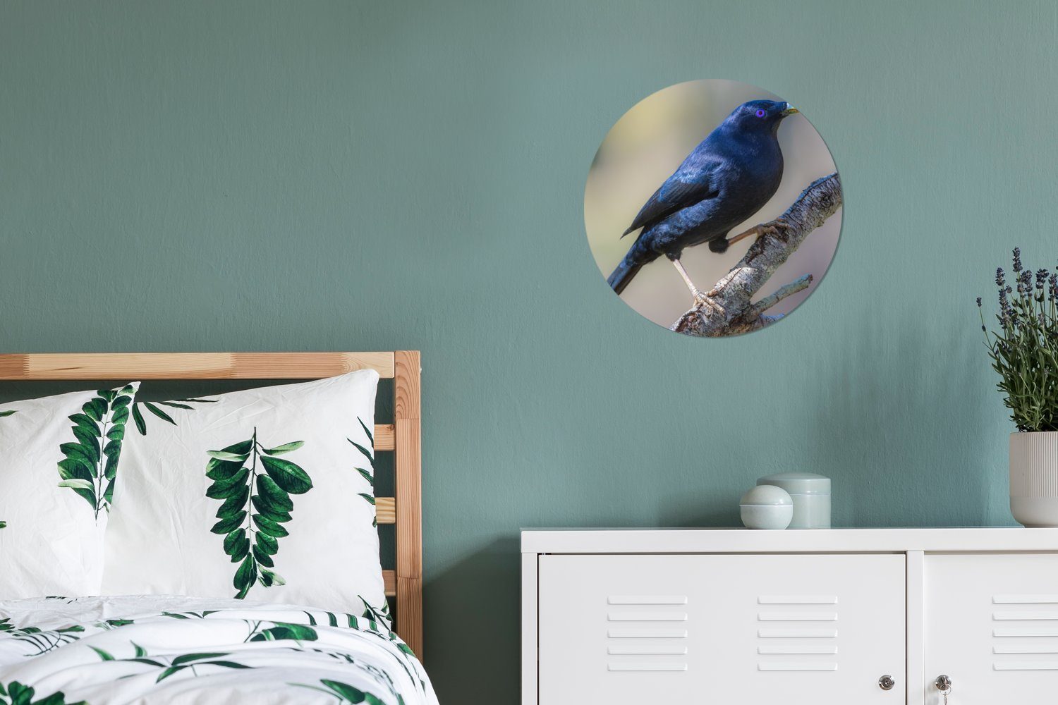 MuchoWow Gemälde Blauer Laubenvogel einem Forex, cm Zweig, Rundes (1 30x30 St), Wanddekoration Wohnzimmer, Kreis auf Wandbild