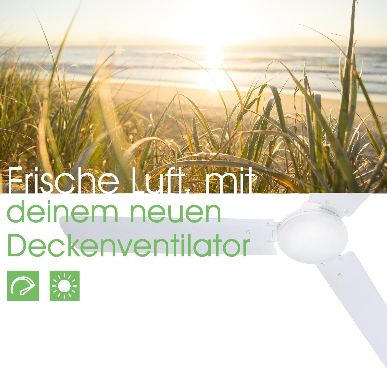 bmf-versand Deckenventilator Deckenventilator ohne Licht Ventilator günstig online kaufen