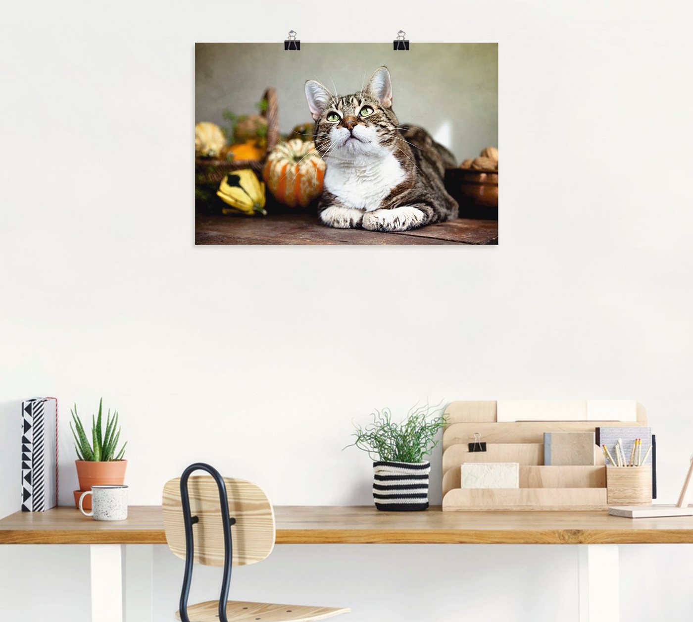 Artland Wandbild »Katze und Herbstdeko«, Haustiere (1 Stück)-HomeTrends