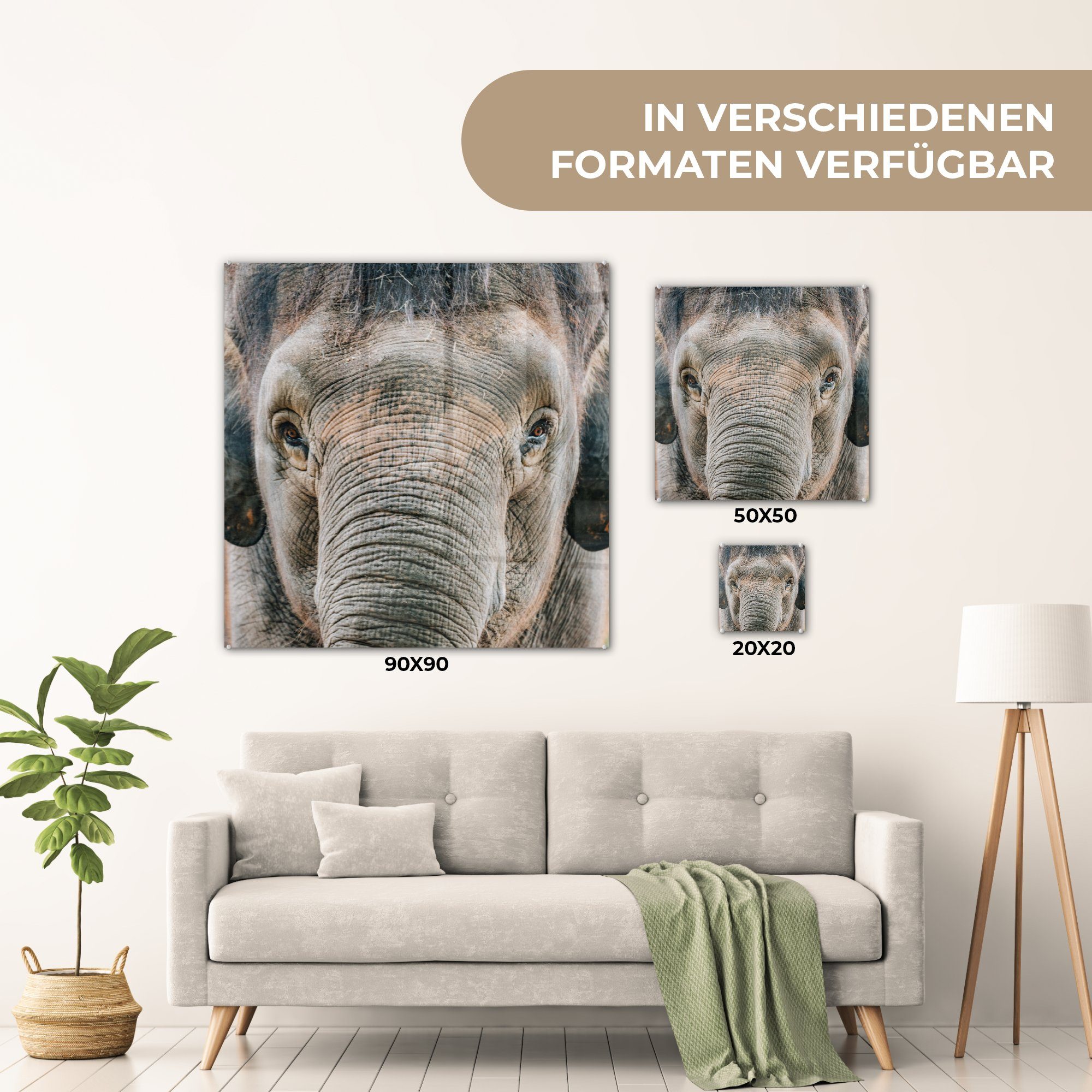 Wandbild auf Glas Acrylglasbild MuchoWow - St), - - Bilder Porträt Elefant - Tiere - Glasbilder - (1 Glas auf Foto Wanddekoration Grau,