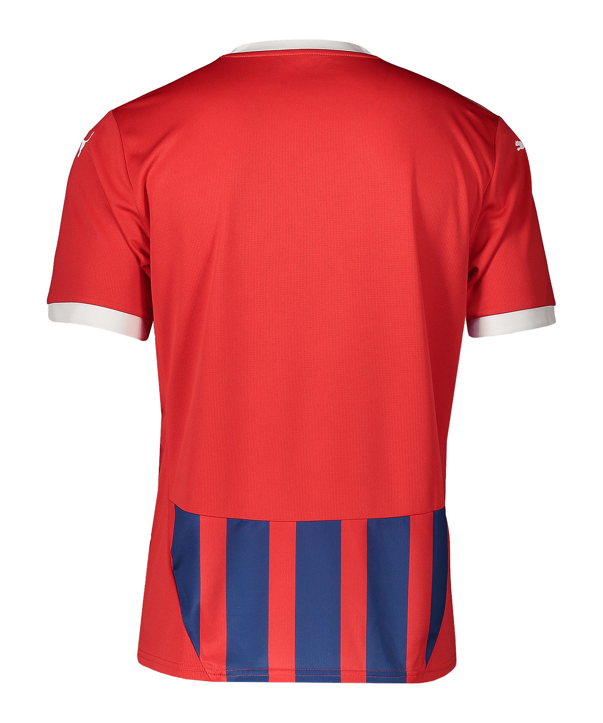 PUMA Fußballtrikot PUMA Trikot Kurzarm-Trikots Unisex Teamsport