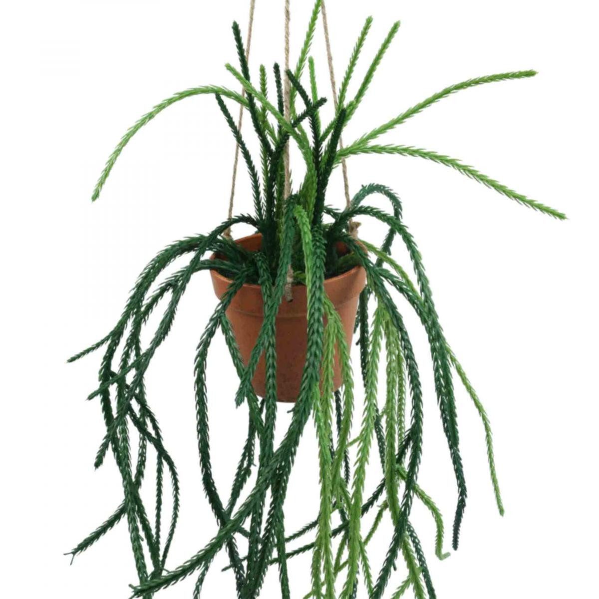 Kunstkaktus Künstlicher Rhipsalis Korallenkaktus in Hängeampel, Viana, Höhe 87 cm