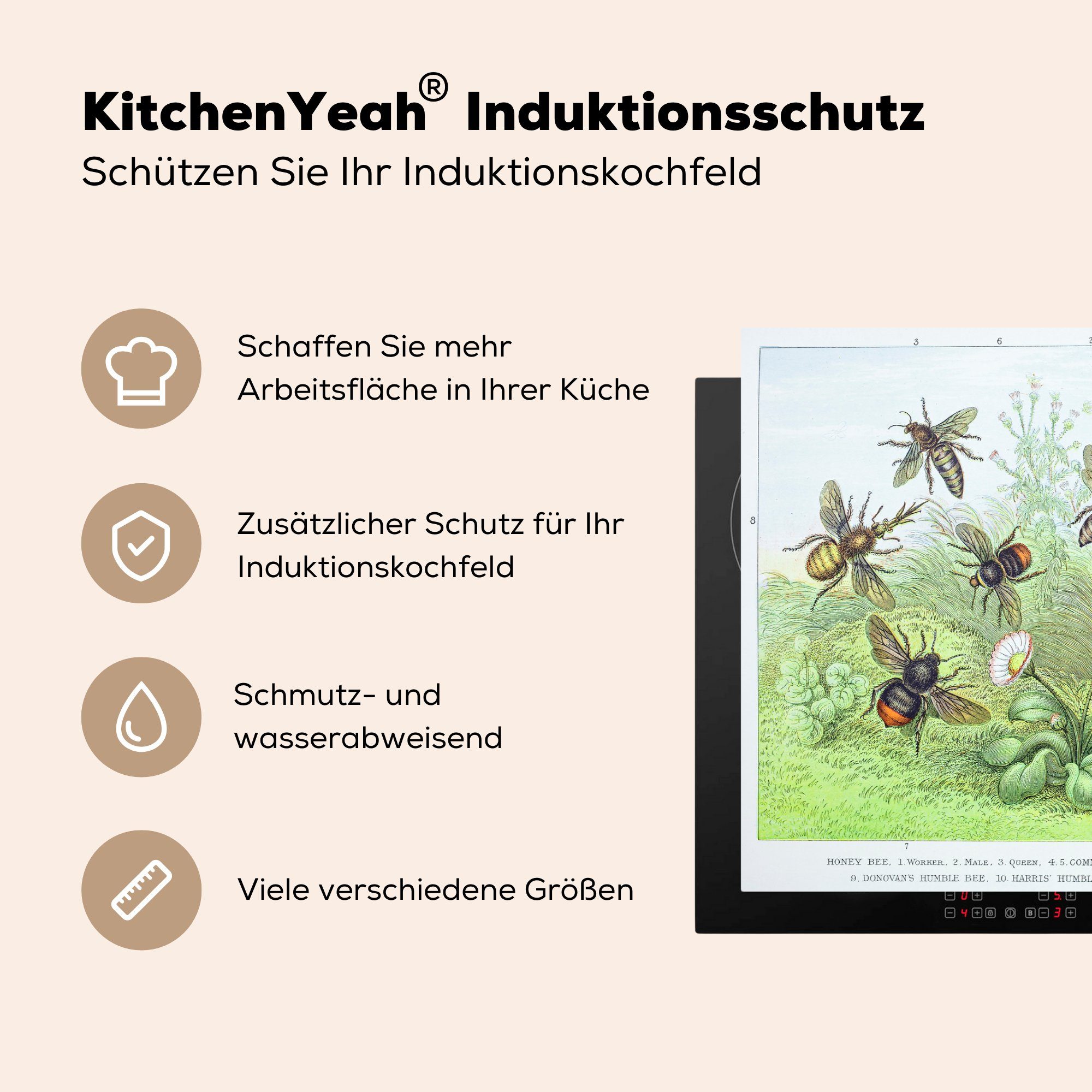 Illustration 81x52 tlg), MuchoWow cm, Schutz Vinyl, (1 Herdblende-/Abdeckplatte Bienen, für Induktionskochfeld küche, Botanische die Ceranfeldabdeckung