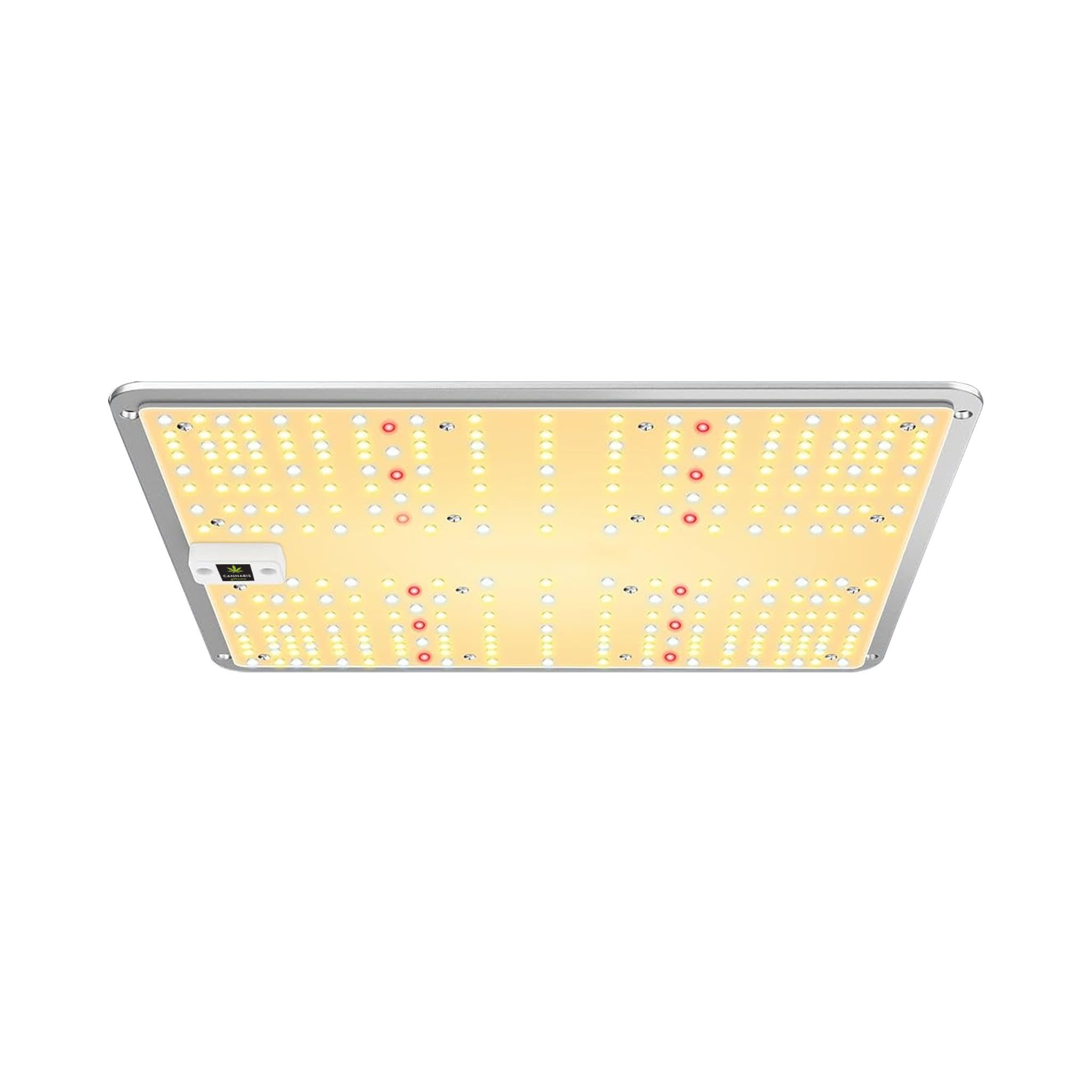 Cannabis 4 Home Gewächshaus Canna4Home GrowBox Komplettset 60 x 60 x 180cm günstig online kaufen