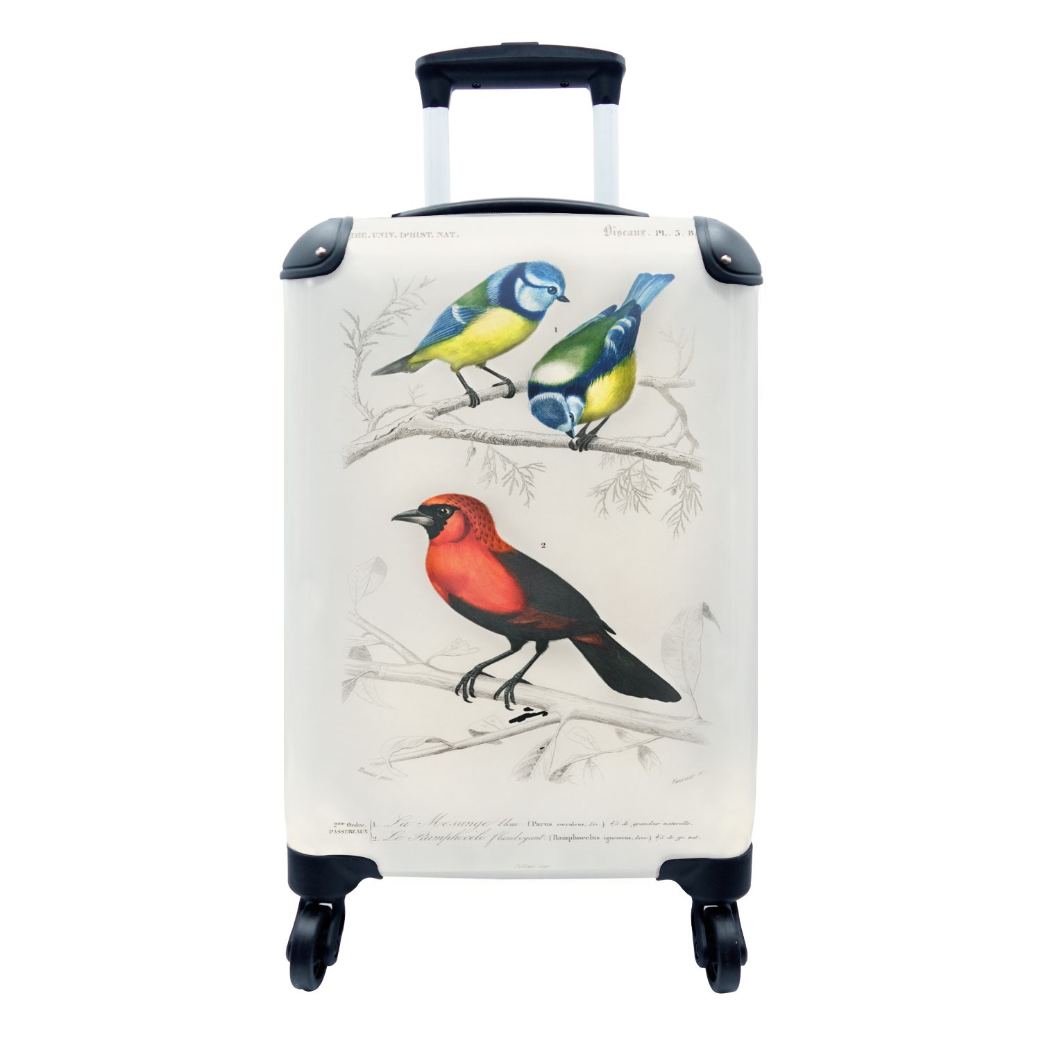 MuchoWow Handgepäckkoffer für Vogel 4 Ferien, Reisetasche Handgepäck - Zweig, Reisekoffer Trolley, Vintage Rollen, rollen, mit 