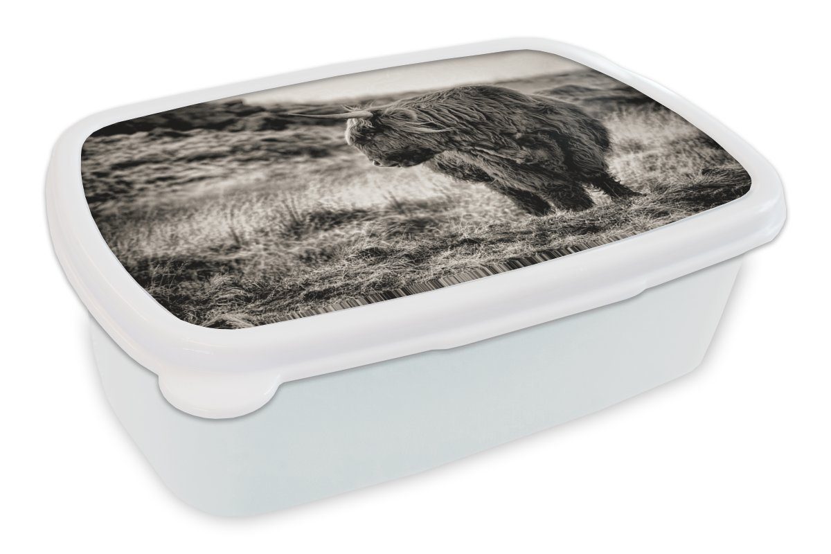 MuchoWow Lunchbox Scottish Highlander - Kühe - Schwarz - Weiß, Kunststoff, (2-tlg), Brotbox für Kinder und Erwachsene, Brotdose, für Jungs und Mädchen