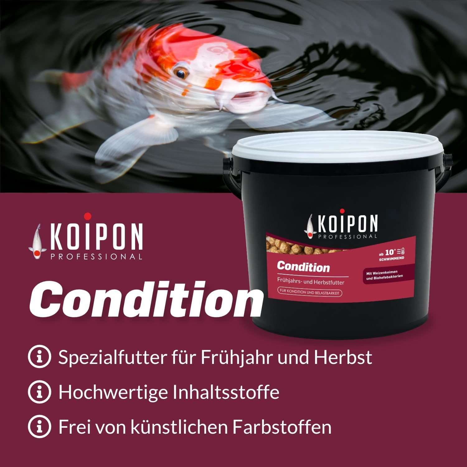 KOIPON KOIPON Condition 3mm Herbst und Frühjahrsfutter für Koi, Trockenfutter für: Koi, Goldfische, Teichfische, Zierfische, Herbst und Frühjahrsfutter, Weizenkeime, Biohefe, Made in Germany