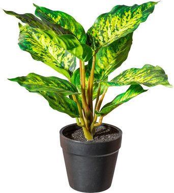 Künstliche Zimmerpflanze Grünpflanzenmifa Sukkulente, Creativ green, Höhe 25 cm