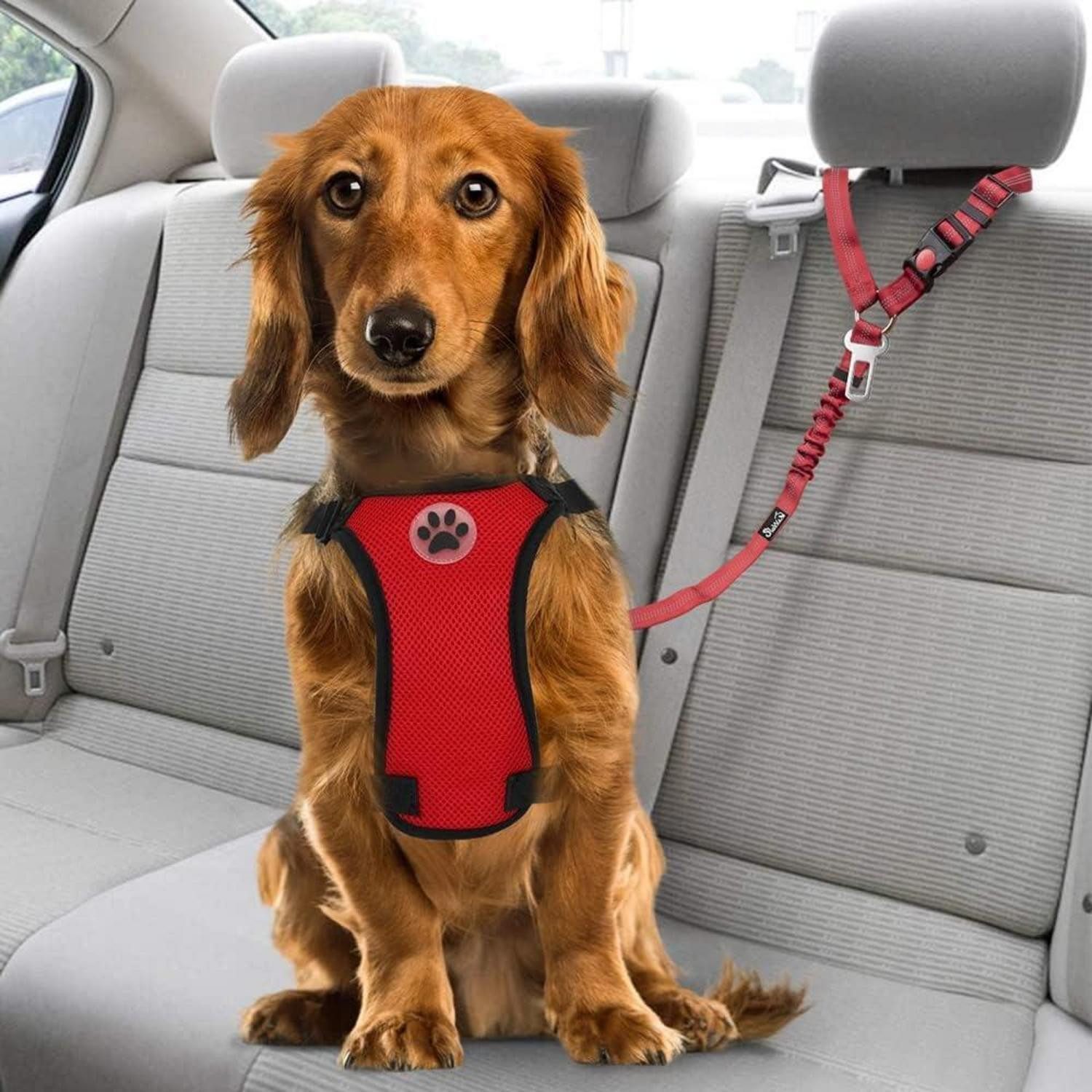 SlowTon Autohundegeschirr Hunde Sicherheitsgurt Auto 2-in-1 Kopfstützen-Rückhalte Anschnallgurt