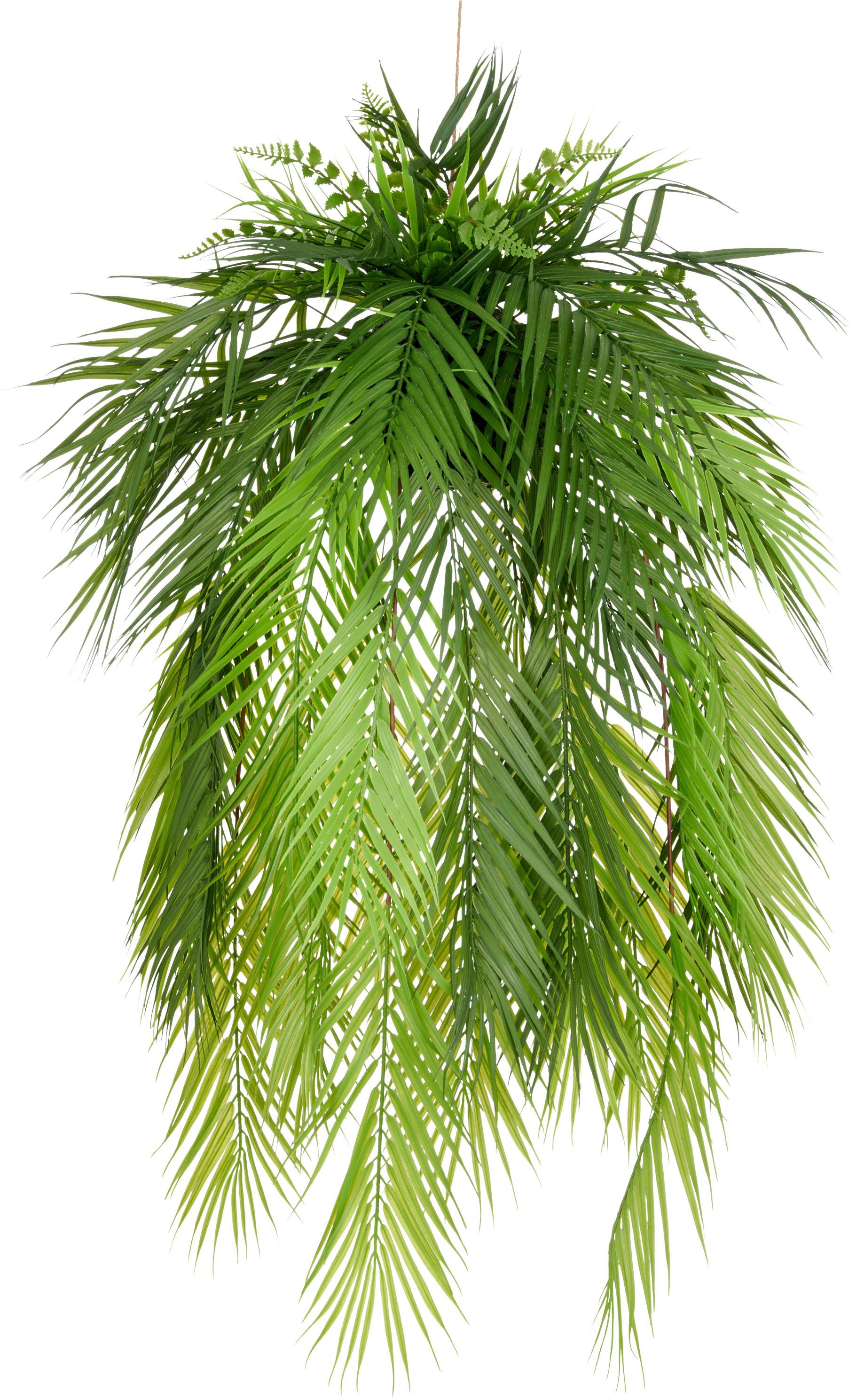 Kunstpflanze Palmwedel auf Mooskugel, Creativ green, günstig online kaufen