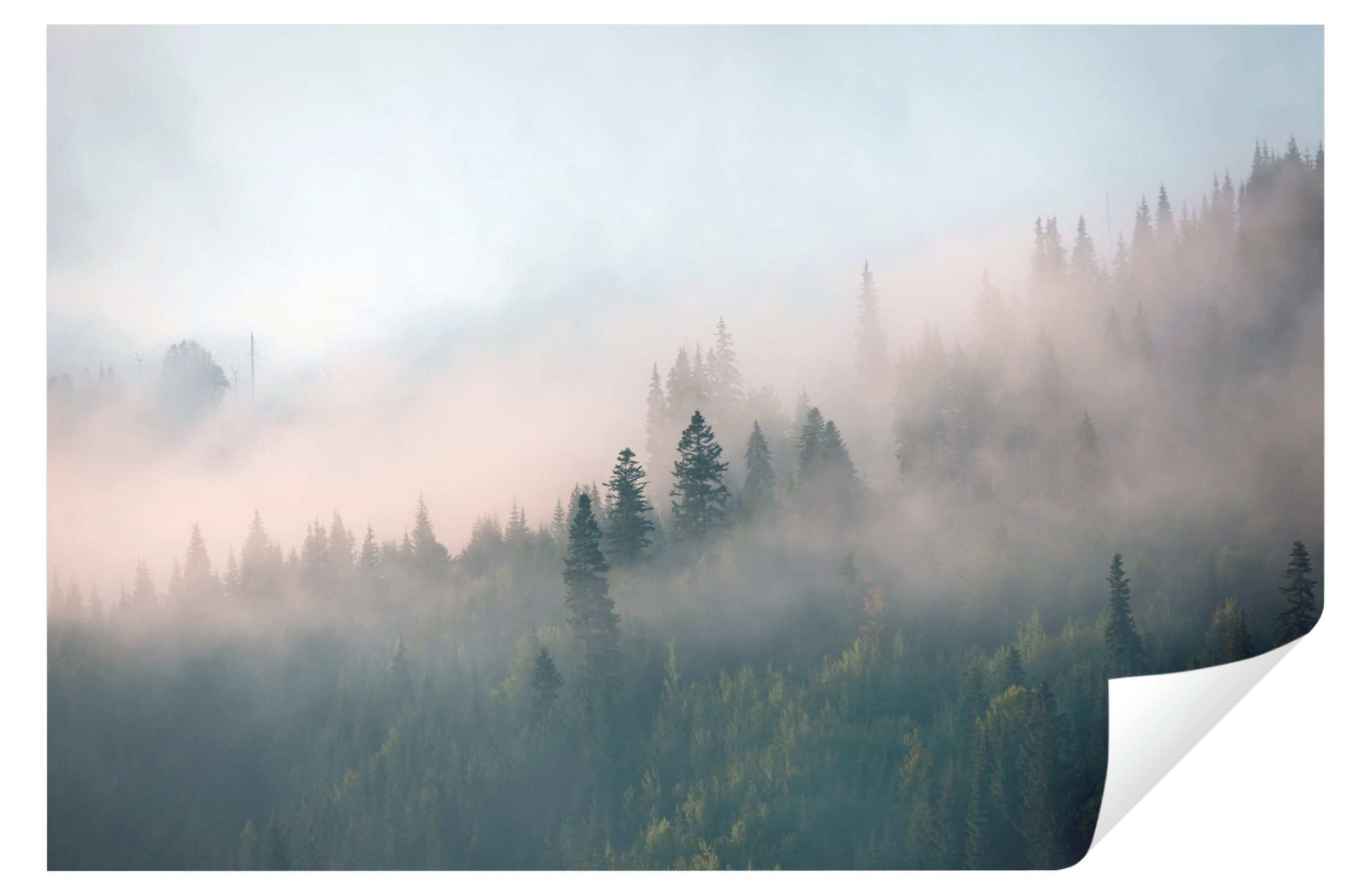 Wallarena Fototapete Wald im Nebel Natur Wohnzimmer Schlafzimmer Vlies Tapete, Premium Halbmatt Glatt Vlies, Landschaft, Wald, Nebel, Natur, Berge, (Packung, Vlies Fototapete), Fototapete Wohnzimmer Schlafzimmer - Vliestapete inklusive Kleister