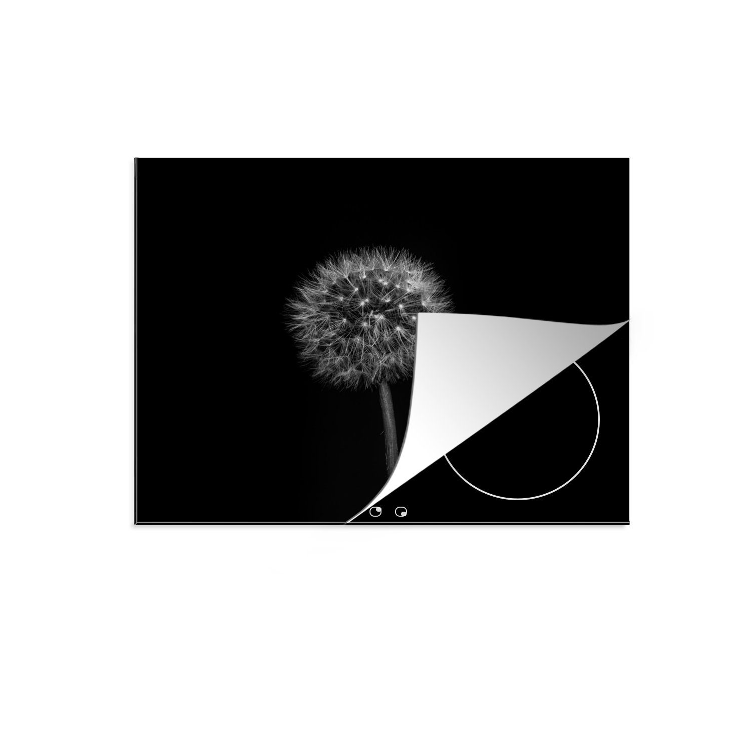 nutzbar, Ceranfeldabdeckung cm, - Schwarz - Löwenzahn Floral Mobile MuchoWow Herdblende-/Abdeckplatte Arbeitsfläche tlg), Botanisch, Vinyl, - (1 60x52