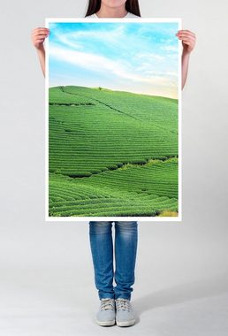 Sinus Art Poster Landschaftsfotografie 60x90cm Poster Moc Chau Teeberg Vietnam