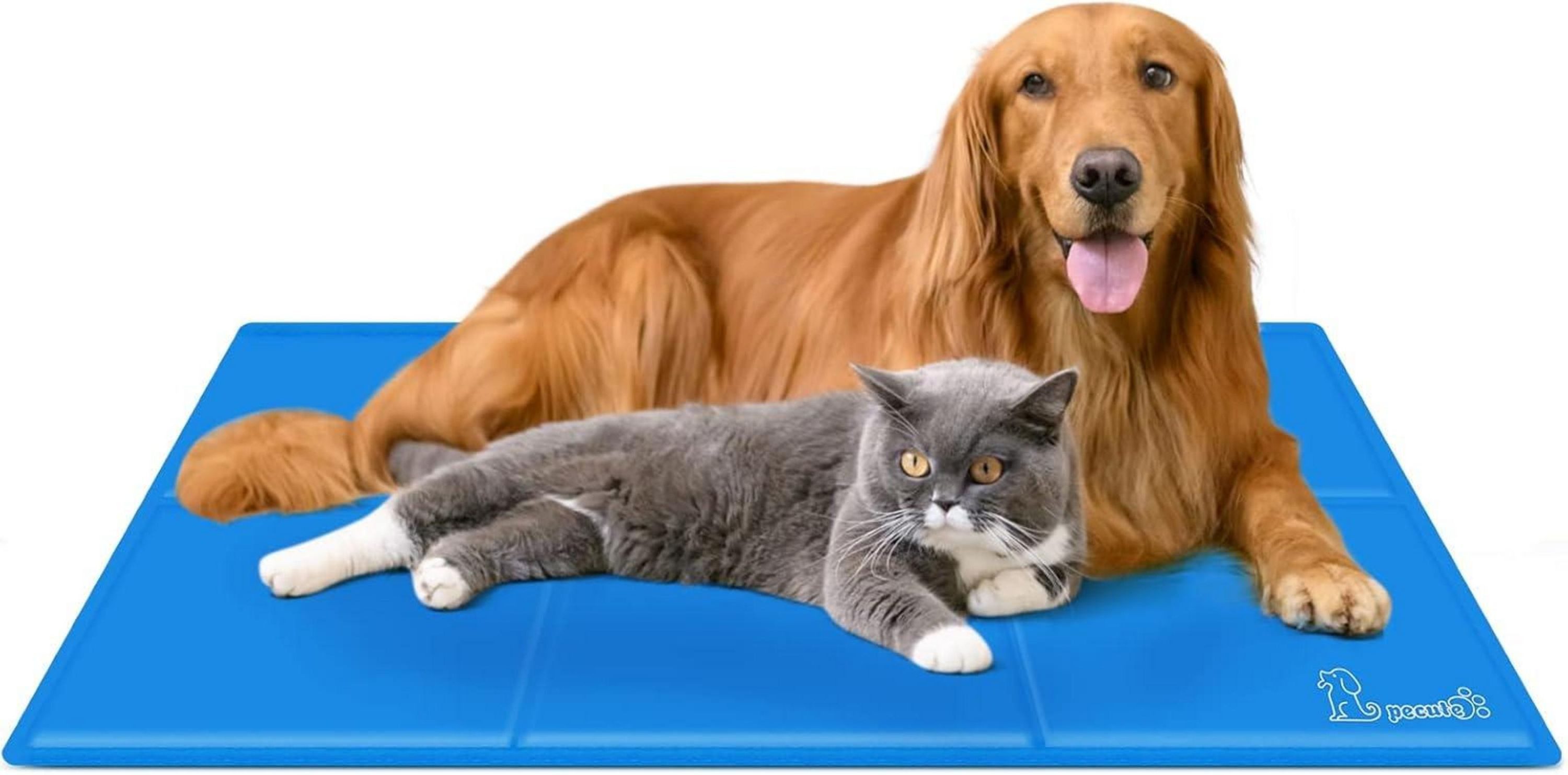 Schutzkragen Selbstkühlende Hundematte 120x75 cm blau XL für Katzen & Hunde