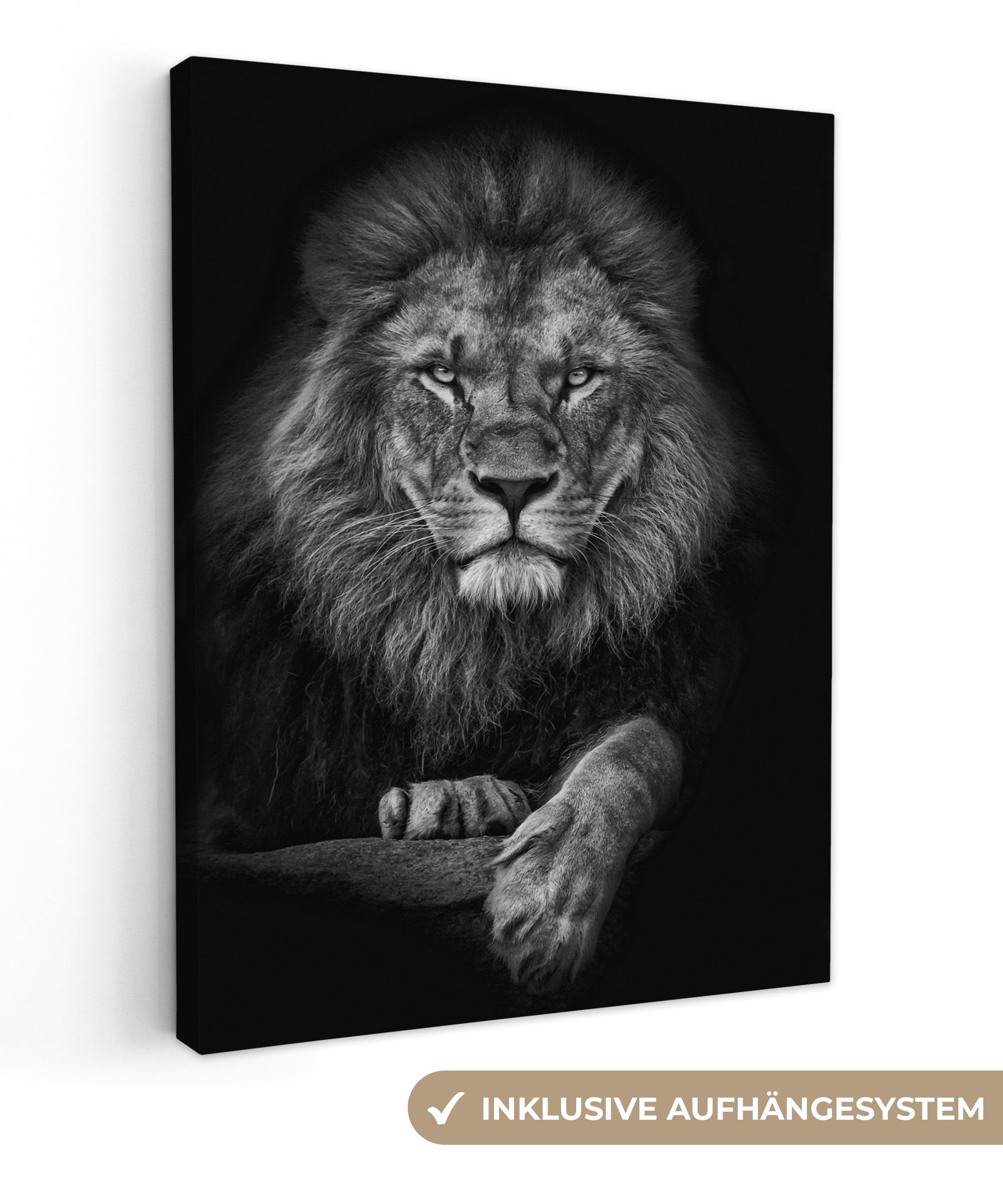 OneMillionCanvasses® Leinwandbild Löwe - Tiere - Schwarz - Weiß, Fotodruck (1 St), Leinwand Bilder für Wohnzimmer Schlafzimmer 60x80 cm
