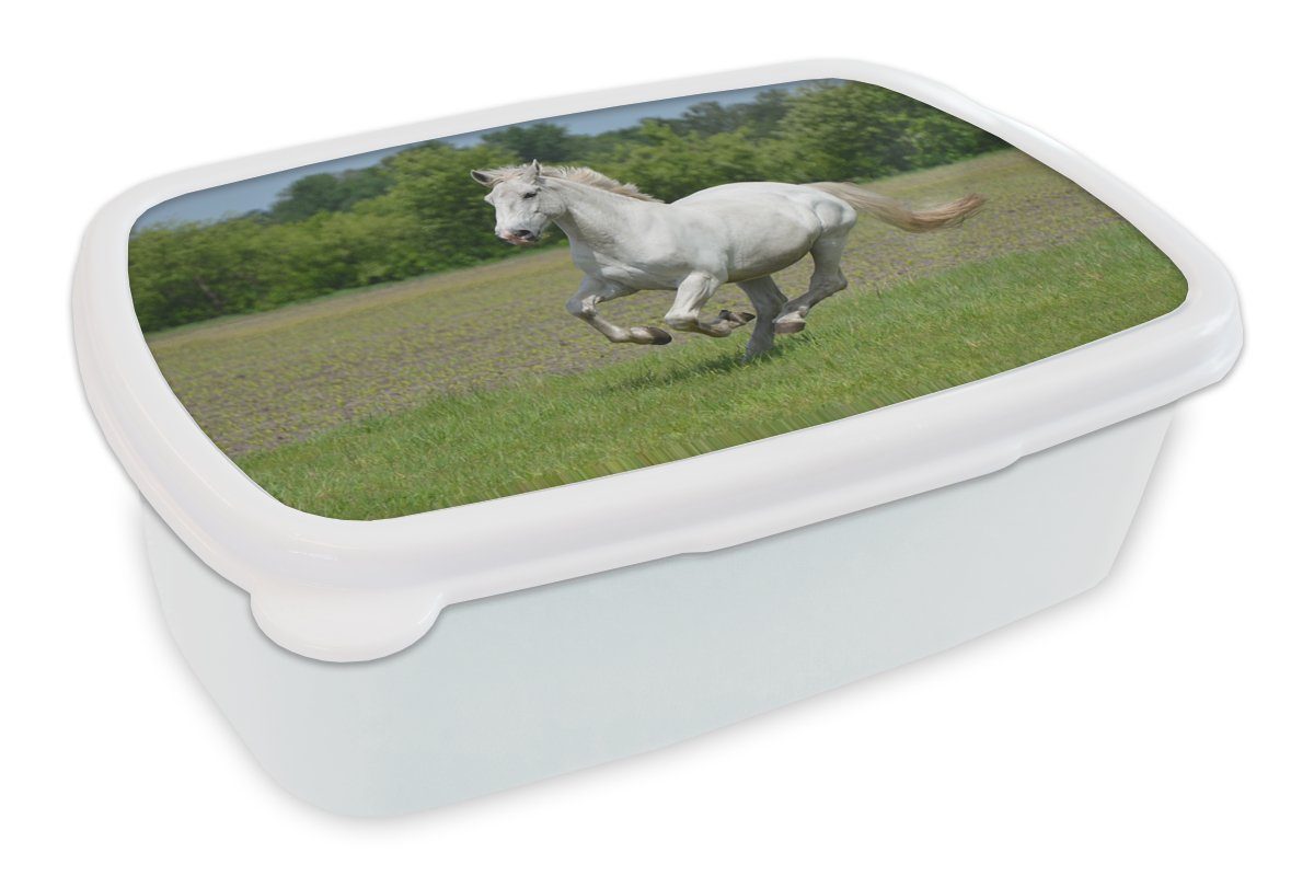 MuchoWow Lunchbox Pferde - Natur - Weiß, Kunststoff, (2-tlg), Brotbox für Kinder und Erwachsene, Brotdose, für Jungs und Mädchen