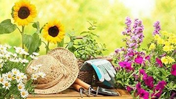 P & K Gartenpflege-Set 49 teiliges Gartenwerkzeugset mit Korb und Tasche