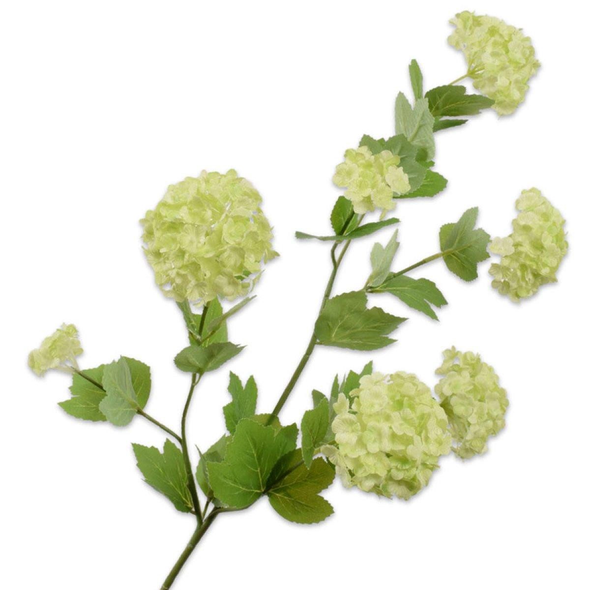 Künstliche Zimmerpflanze Seidenblume Schneeball Zweig Grün (78cm), SILK-KA