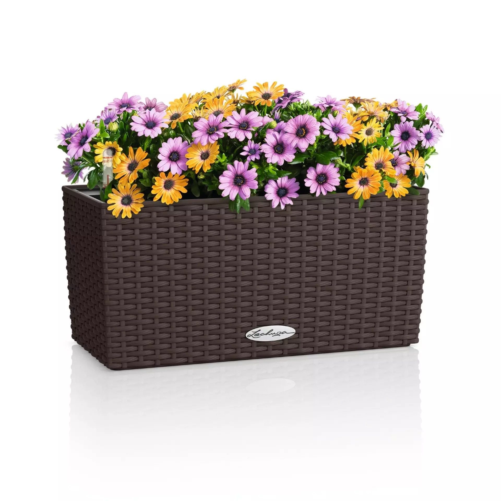 Lechuza® Balkonkasten Balconera Cottage 40 mokka