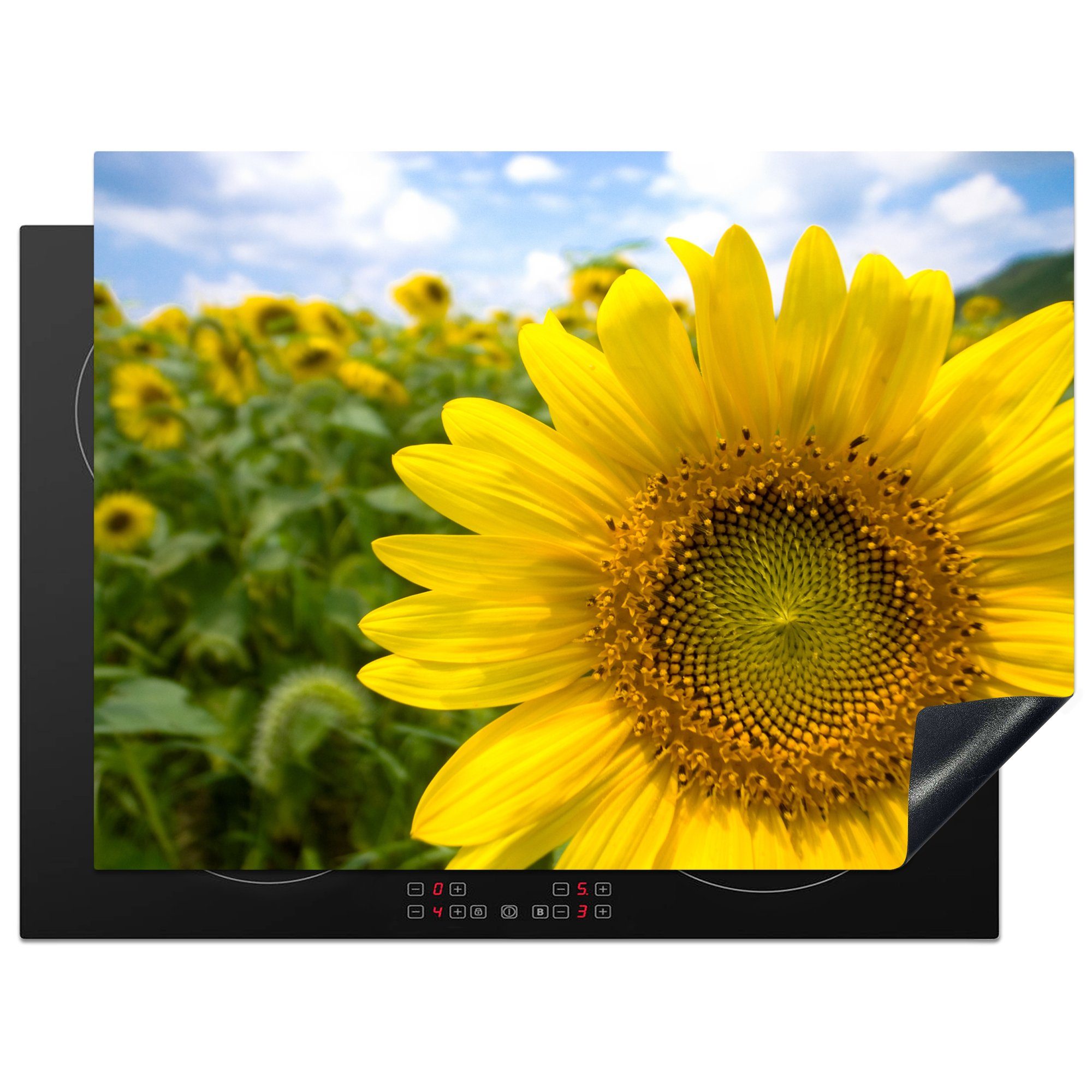 MuchoWow Herdblende-/Abdeckplatte Sonnenblumen in voller Blüte, Vinyl, (1 tlg), 70x52 cm, Mobile Arbeitsfläche nutzbar, Ceranfeldabdeckung