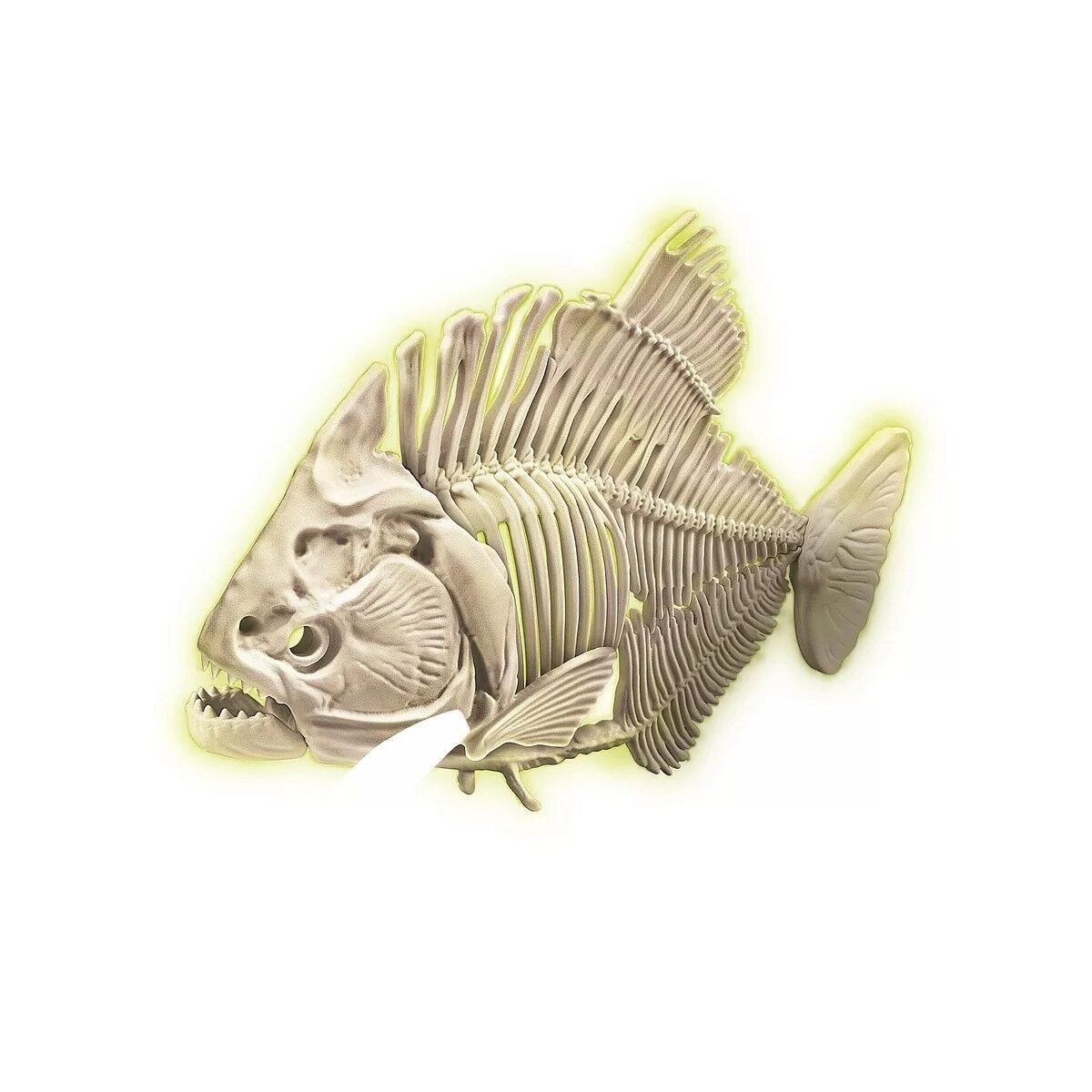 Clementoni® Lernspielzeug Tiere Archeo Fun Leuchtendes Piranha Archäologie-Set