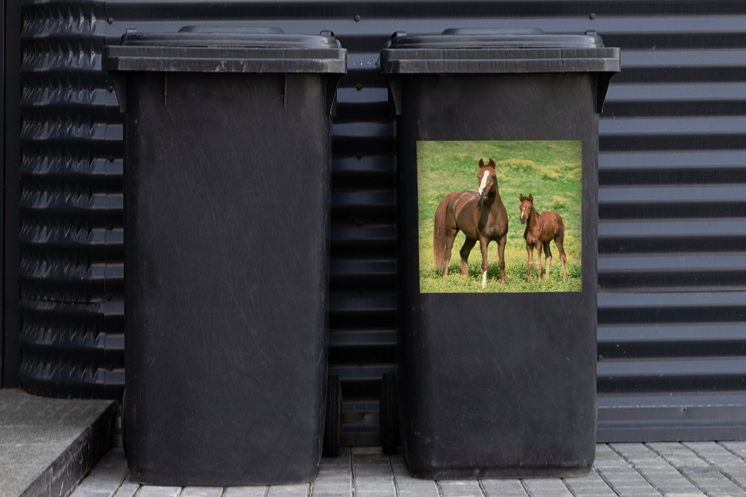 MuchoWow Wandsticker (1 Braun - Gras Sticker, Container, Mülleimer-aufkleber, - Abfalbehälter Pferde St), Mülltonne