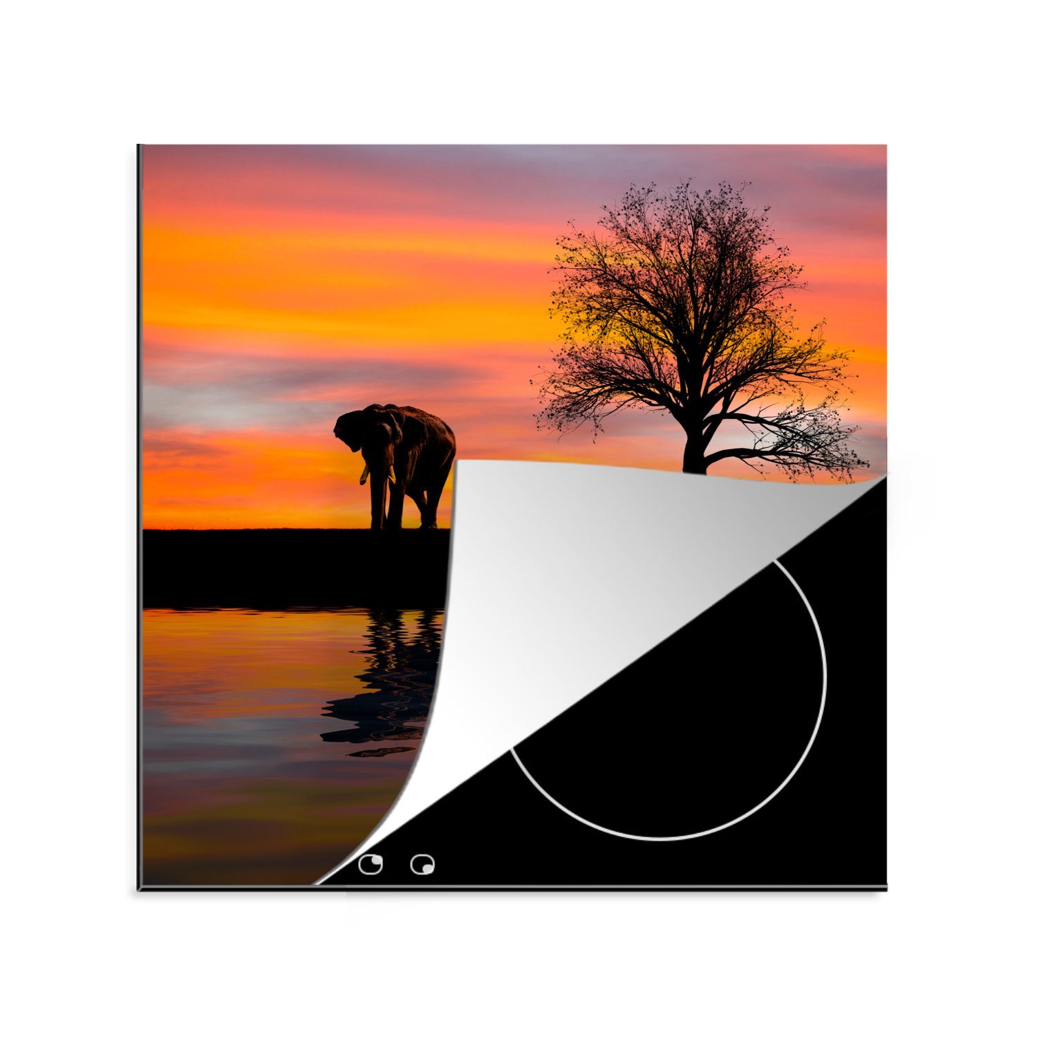 MuchoWow Herdblende-/Abdeckplatte Vinyl, für Ceranfeldabdeckung, tlg), küche (1 Elefant und Arbeitsplatte Sonnenuntergang, 78x78 cm