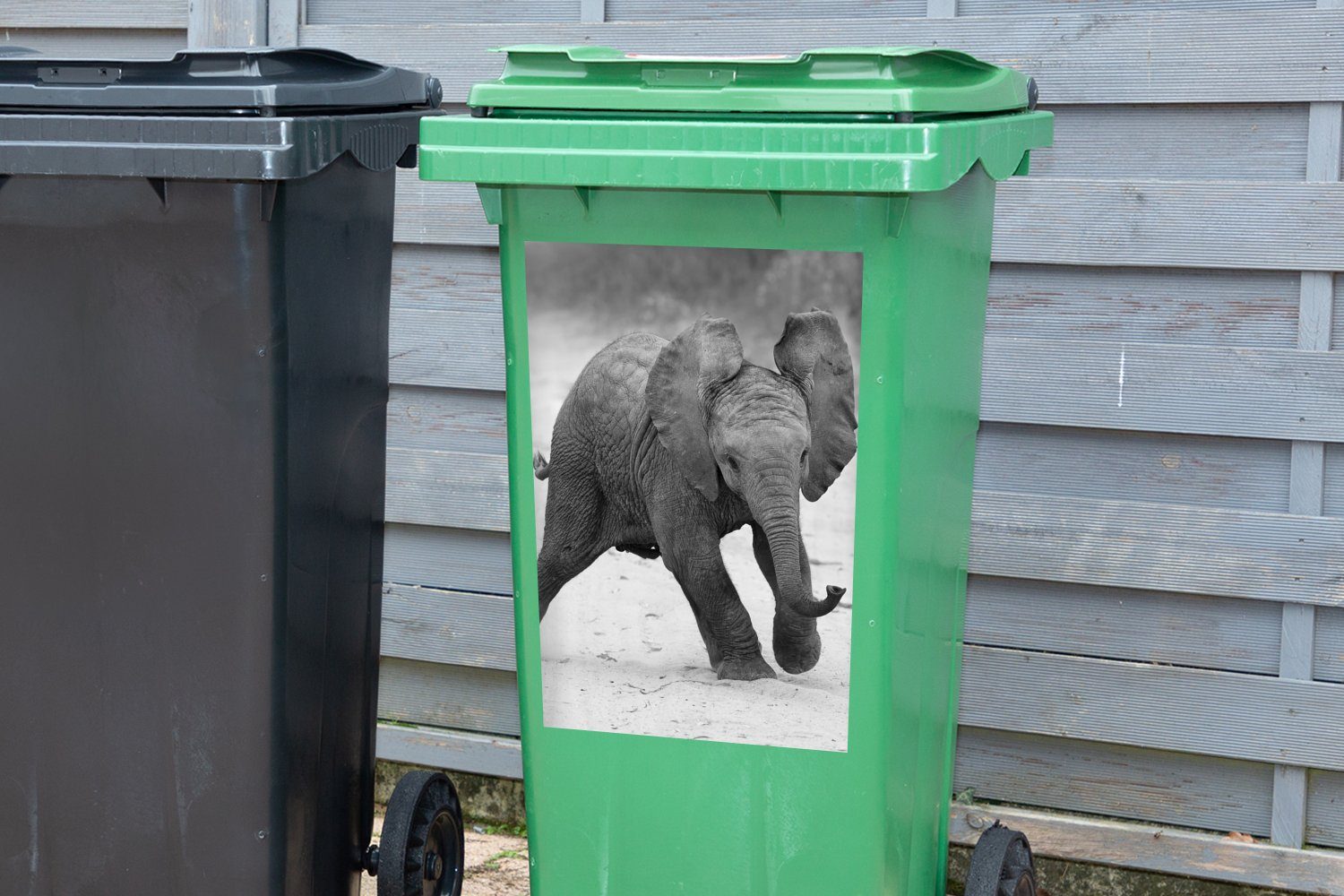 Baby Mülltonne, Tiere (1 - Elefant Kröte - Schwarz Mülleimer-aufkleber, - Abfalbehälter Wandsticker weiß Container, MuchoWow Sticker, und - St),