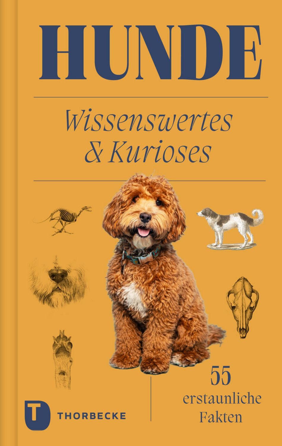 Hunde / diverse