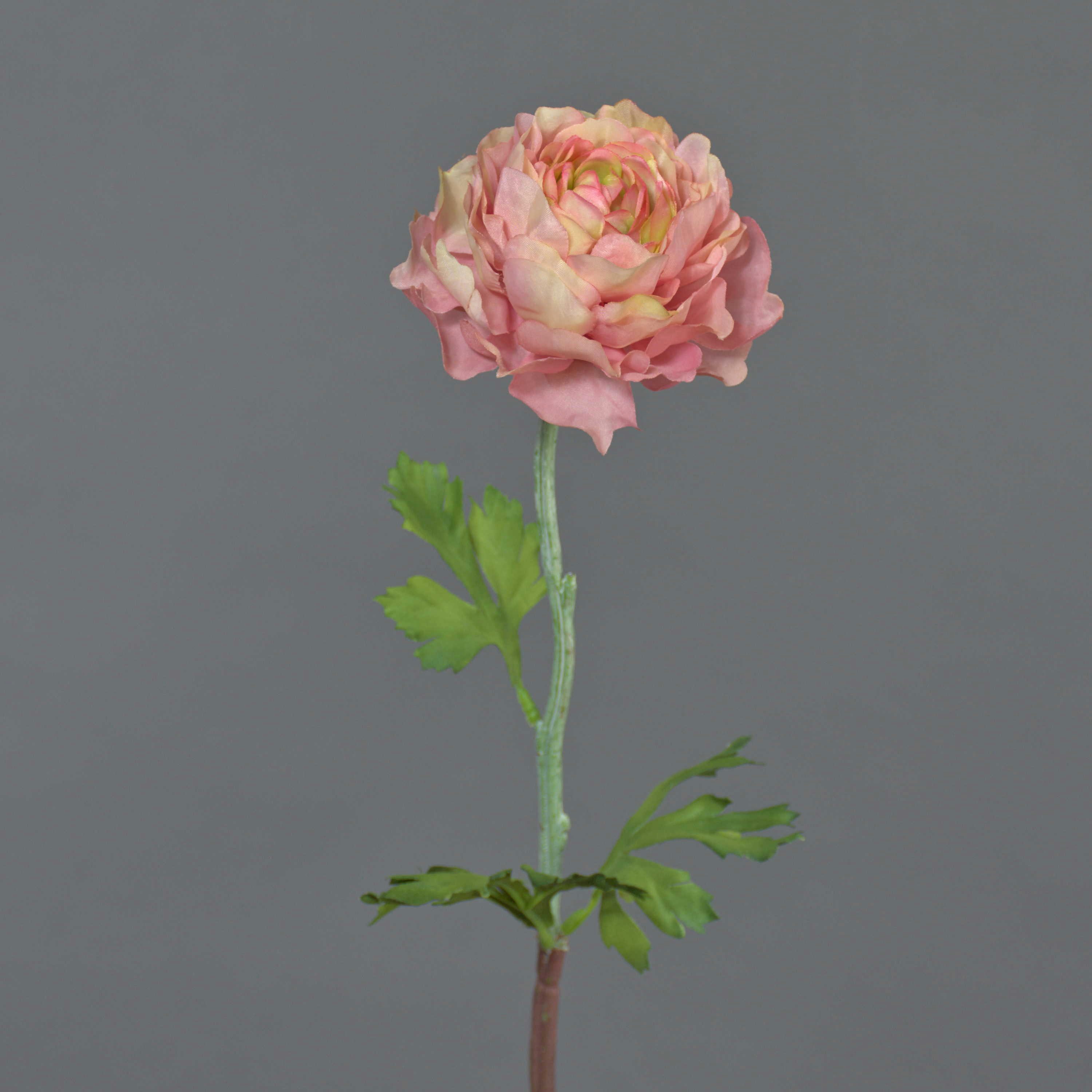 Kunstblume Ranunkel künstlich ELORIO, rosa-pink, 50cm Ranunkel, artplants, Höhe 50.0 cm