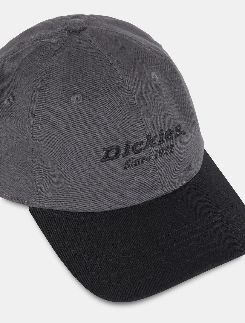 Dickies Baseball Cap Dickies Workwear Mützen TWILL DAD HAT