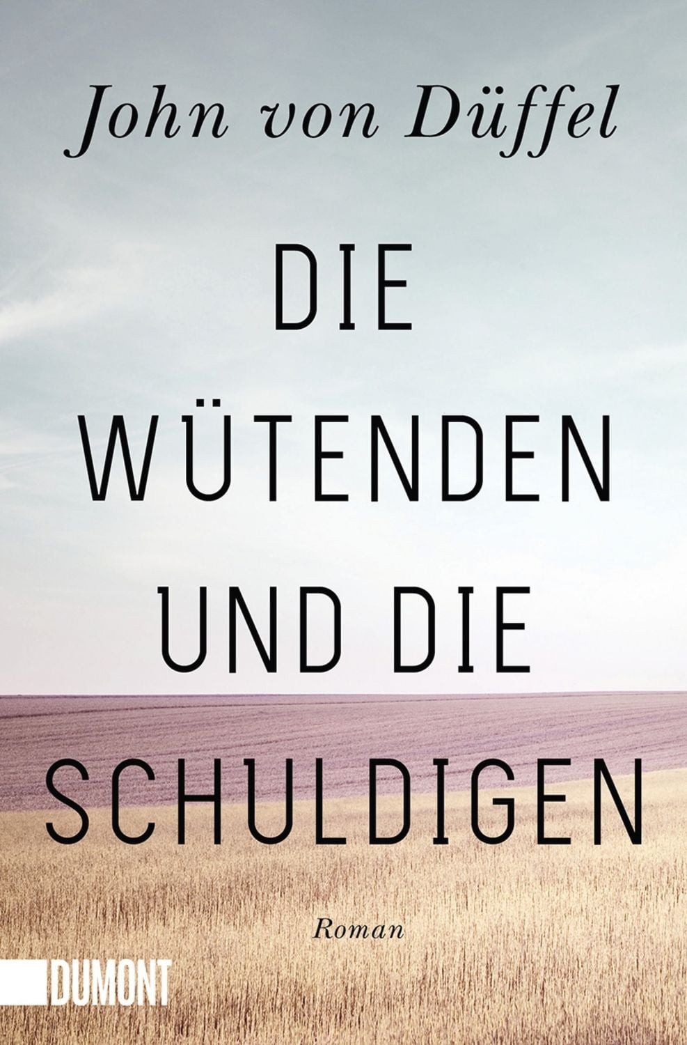 Die Wütenden und die Schuldigen / John von Düffel