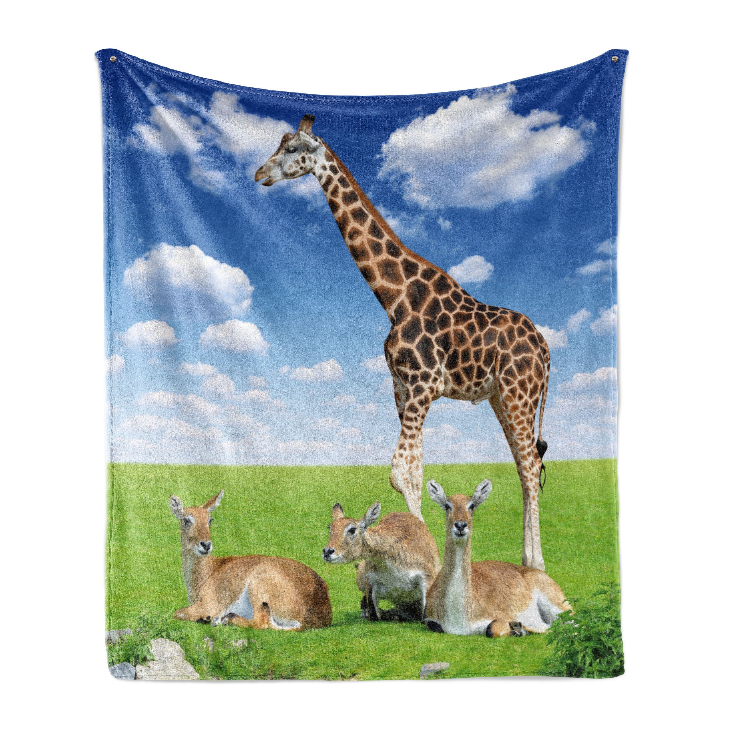 Tiere Zoo Gemütlicher Plüsch Innen- Giraffe für Abakuhaus, den Außenbereich, und Wohndecke