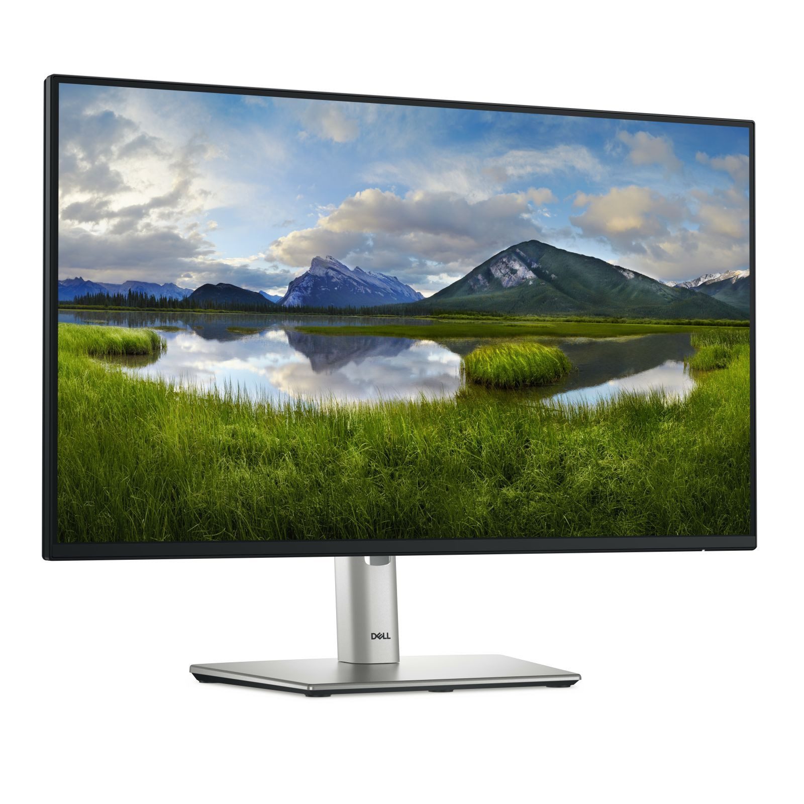 Dell TFT P2425H 23.8IN IPS ANTI-GLAR 1920X1080 16:9 DP HDMI VGA USB TFT-Monitor (1920 x 1080 px, Full HD, 8 ms Reaktionszeit, 100 Hz, IPS, HDCP, Pivot, Höhenverstellbar)