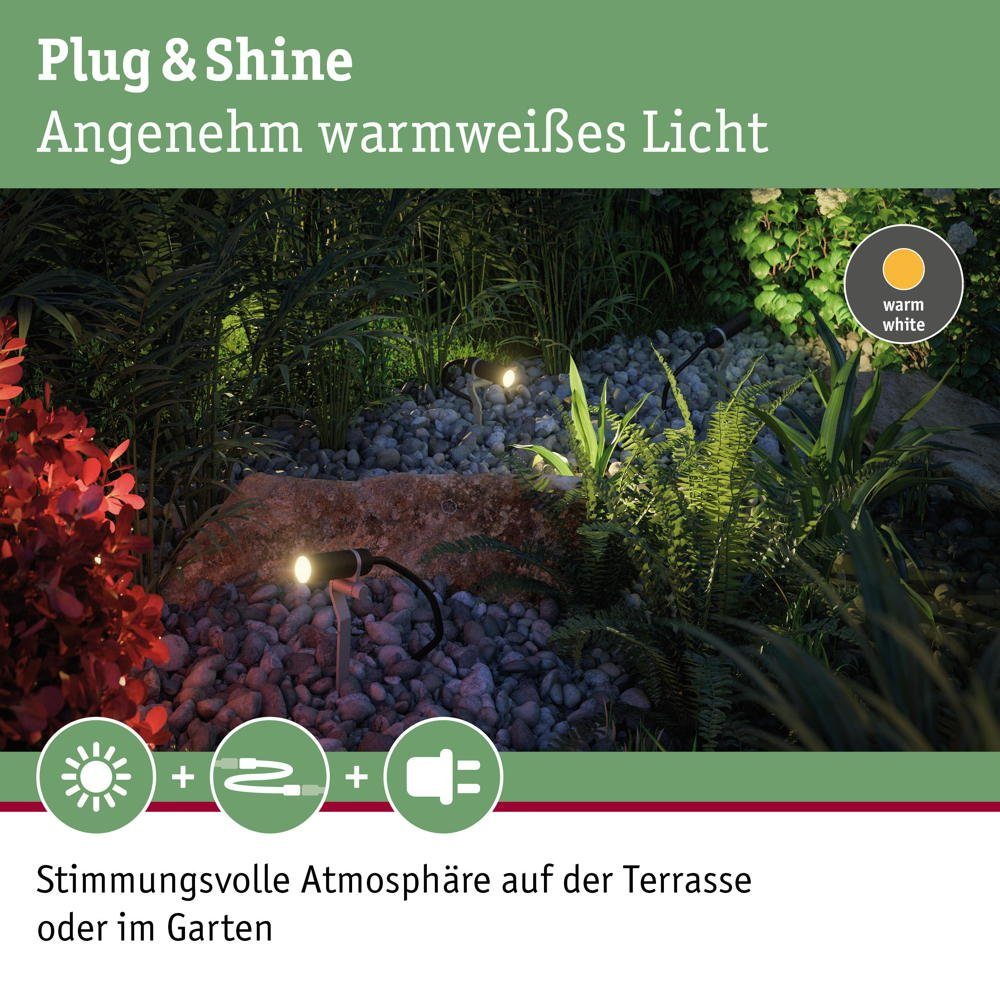 anthrazit Gartenstrahler Shine LED Angabe, Erdspießleuchte warmweiß, fest in Leuchtmittel LED, 2,5W warmweiss, IP65 enthalten: Ja, & keine verbaut, Plug Außenstrahler LED Paulmann
