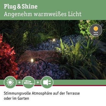 Paulmann LED Gartenstrahler LED Plug & Shine Erdspießleuchte in anthrazit 2,5W IP65 warmweiß, keine Angabe, Leuchtmittel enthalten: Ja, fest verbaut, LED, warmweiss, Außenstrahler