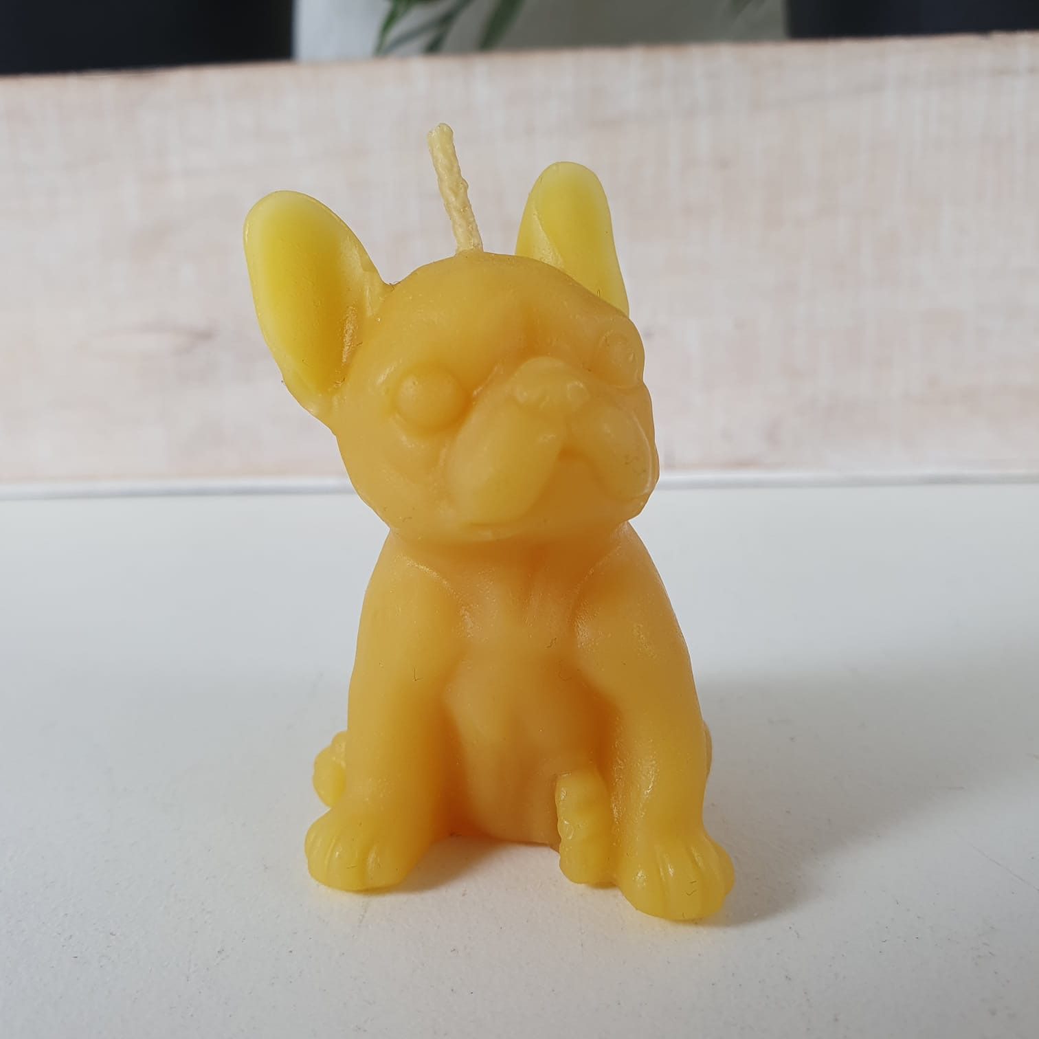 Aspinaworld Formkerze Bienenwachskerze - Bulldogge Kerze 5 cm - Bienenwachs günstig online kaufen