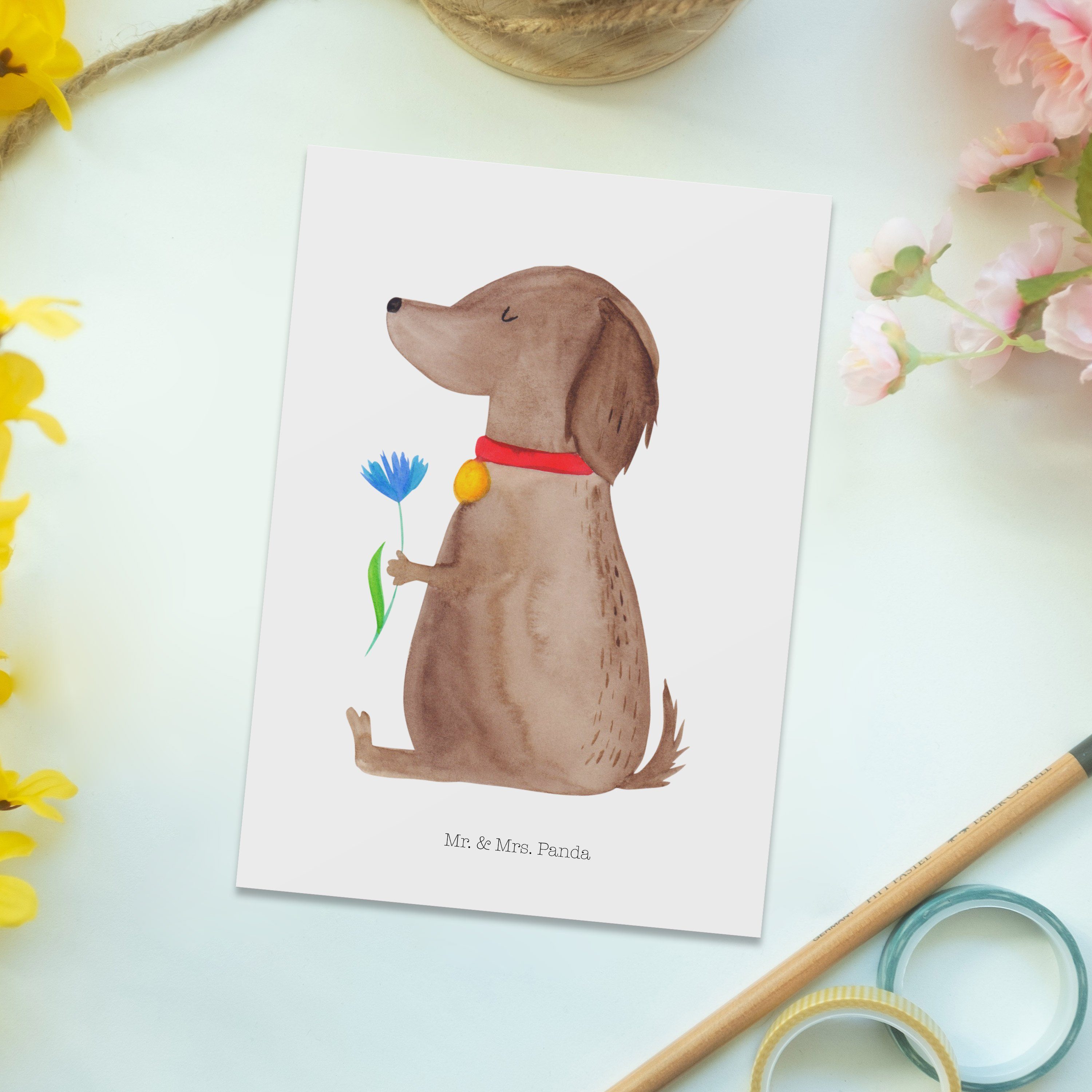 Mrs. & Hundemama, Geschenk, Weiß Hau - Hund Postkarte Hundemotiv, Mr. Hundespruch, Blume Panda -