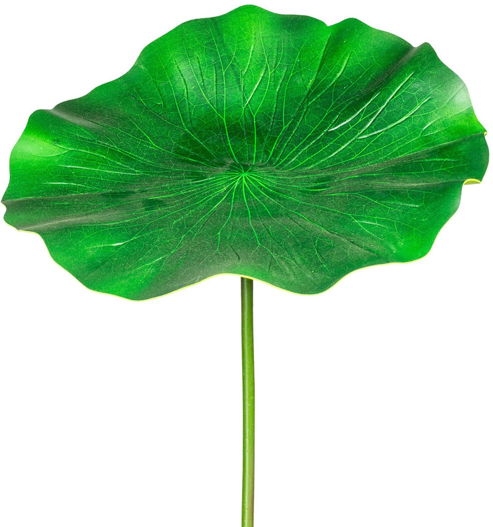 Kunstzweig Lotusblatt Blattstiel, Creativ 100 2er Höhe cm, Set green