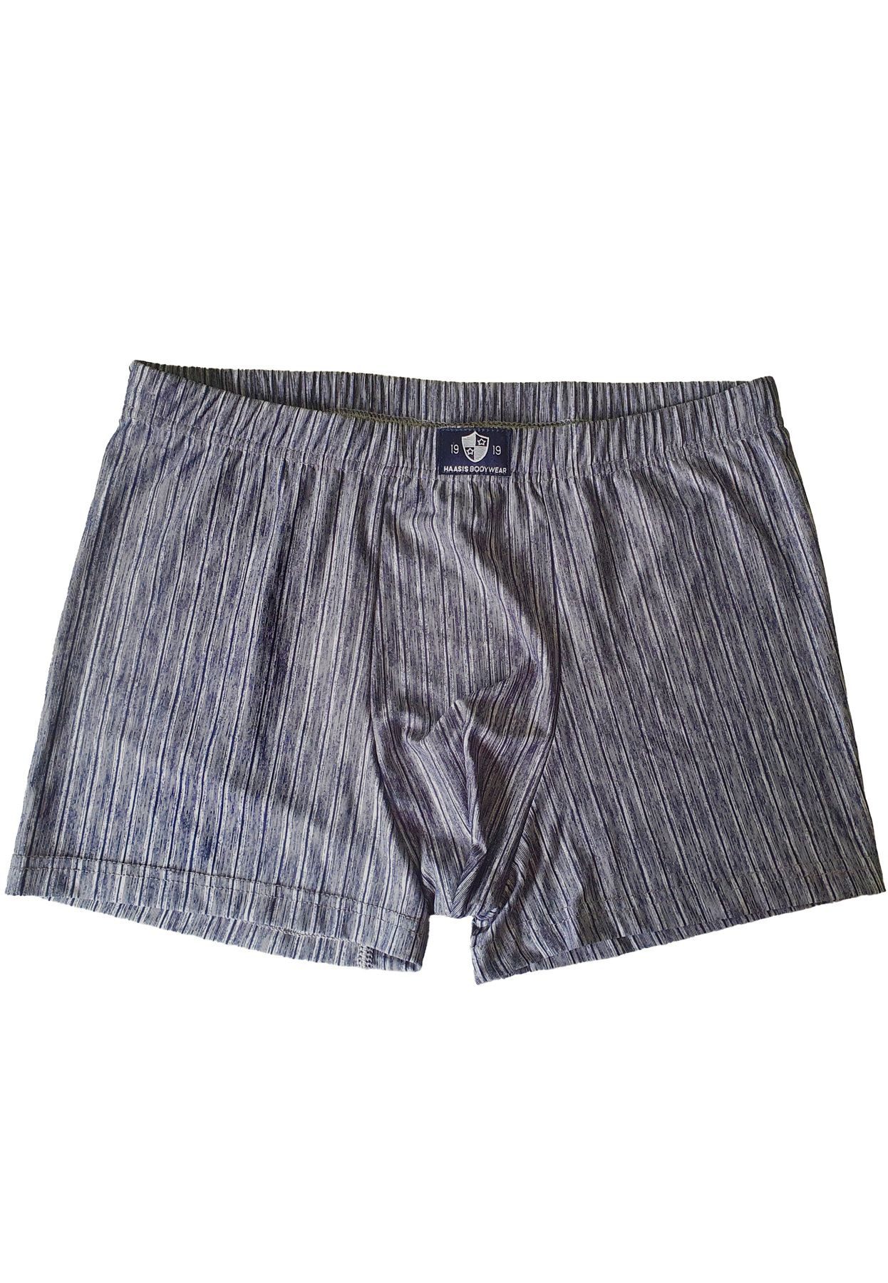 HAASIS Bodywear 1919 Retro Pants Herren Pants 77240413-S (Packung, 2-St., 2er Pack) Weiche Pants, bedruckt