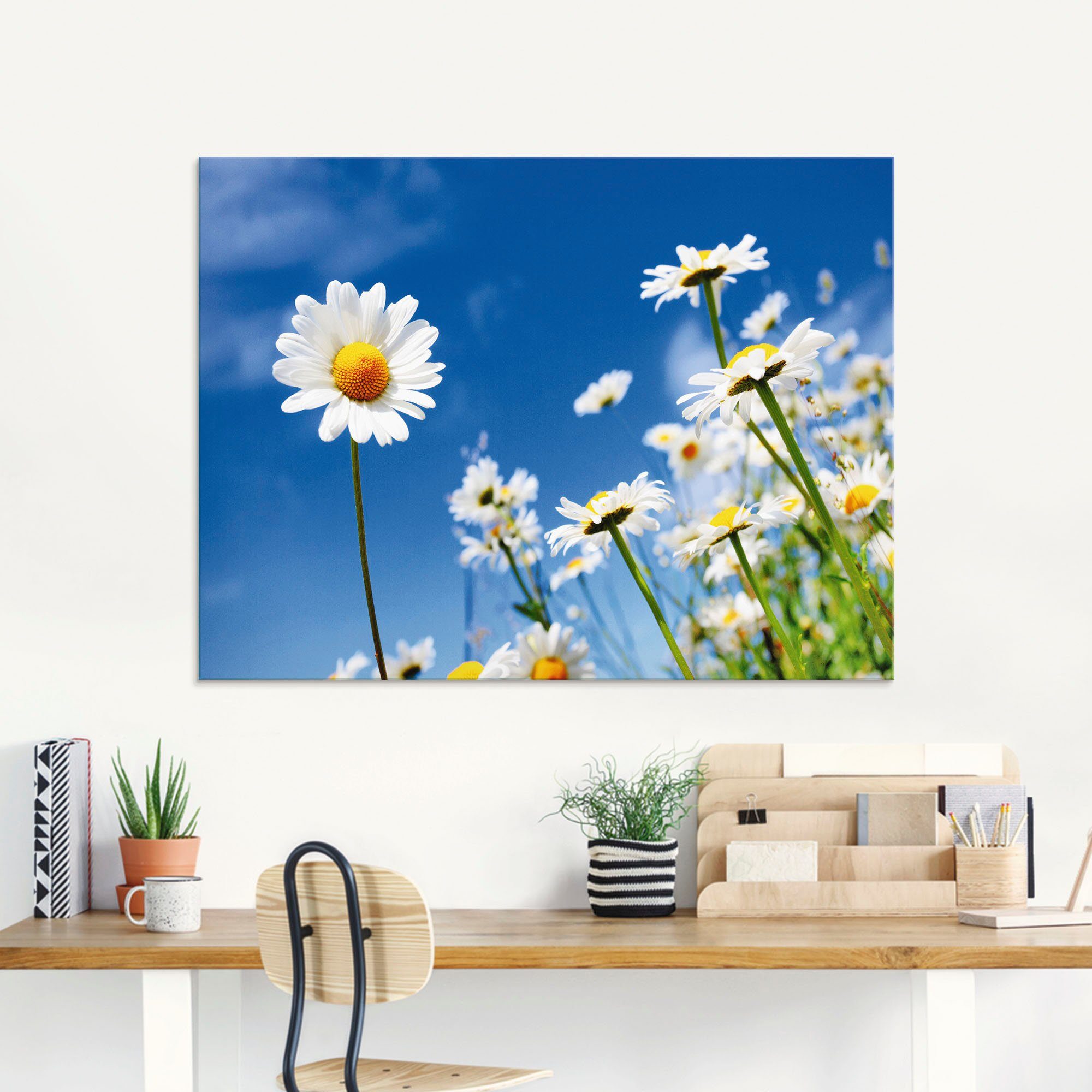 Artland Glasbild Gänseblümchen, Blumenwiese (1 St), in verschiedenen Größen