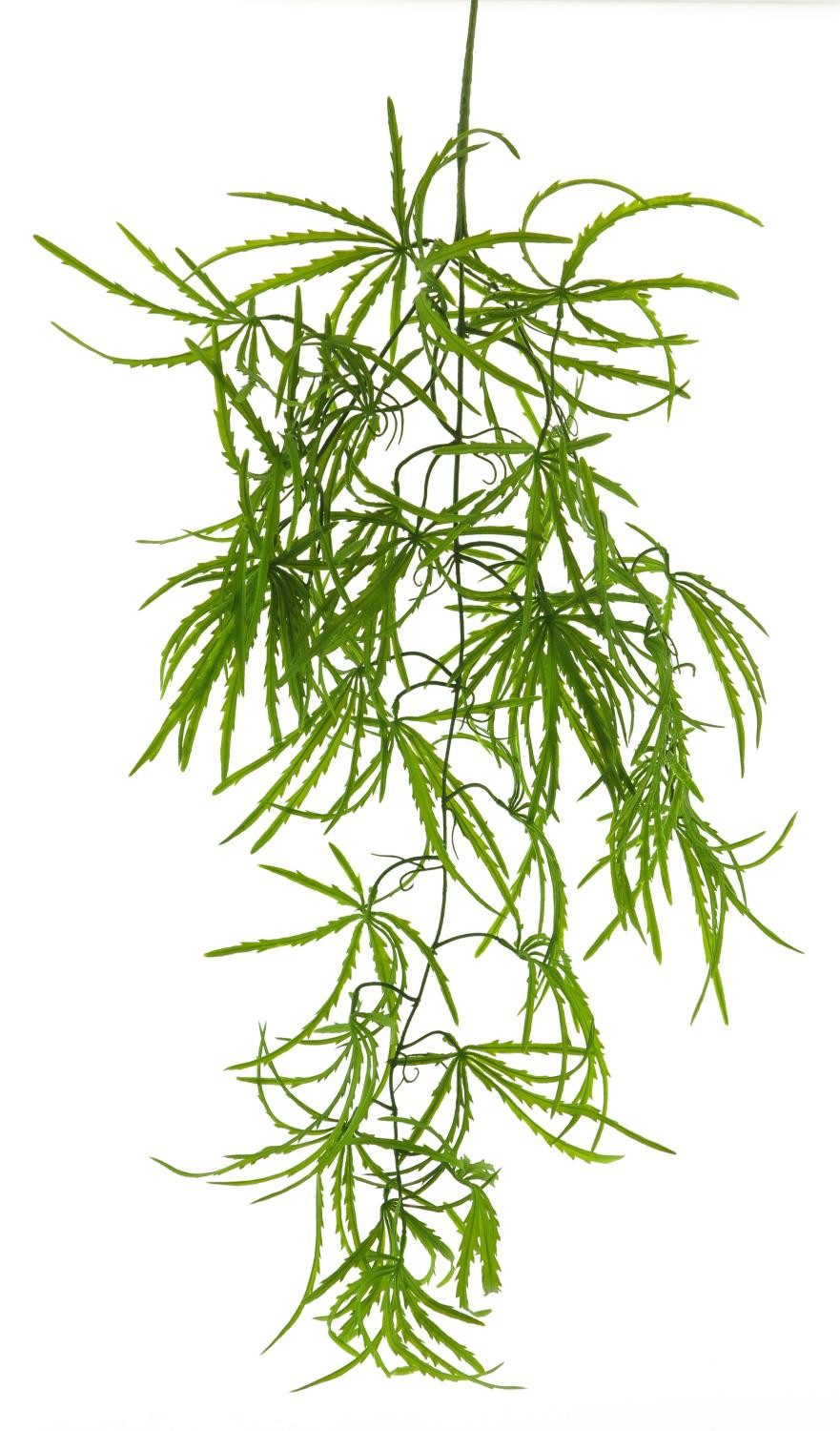 Kunstzweig Dekozweig Fingeraralie LINTIAN, grün, 105 cm Fingeraralie, artplants, Höhe 105.0 cm