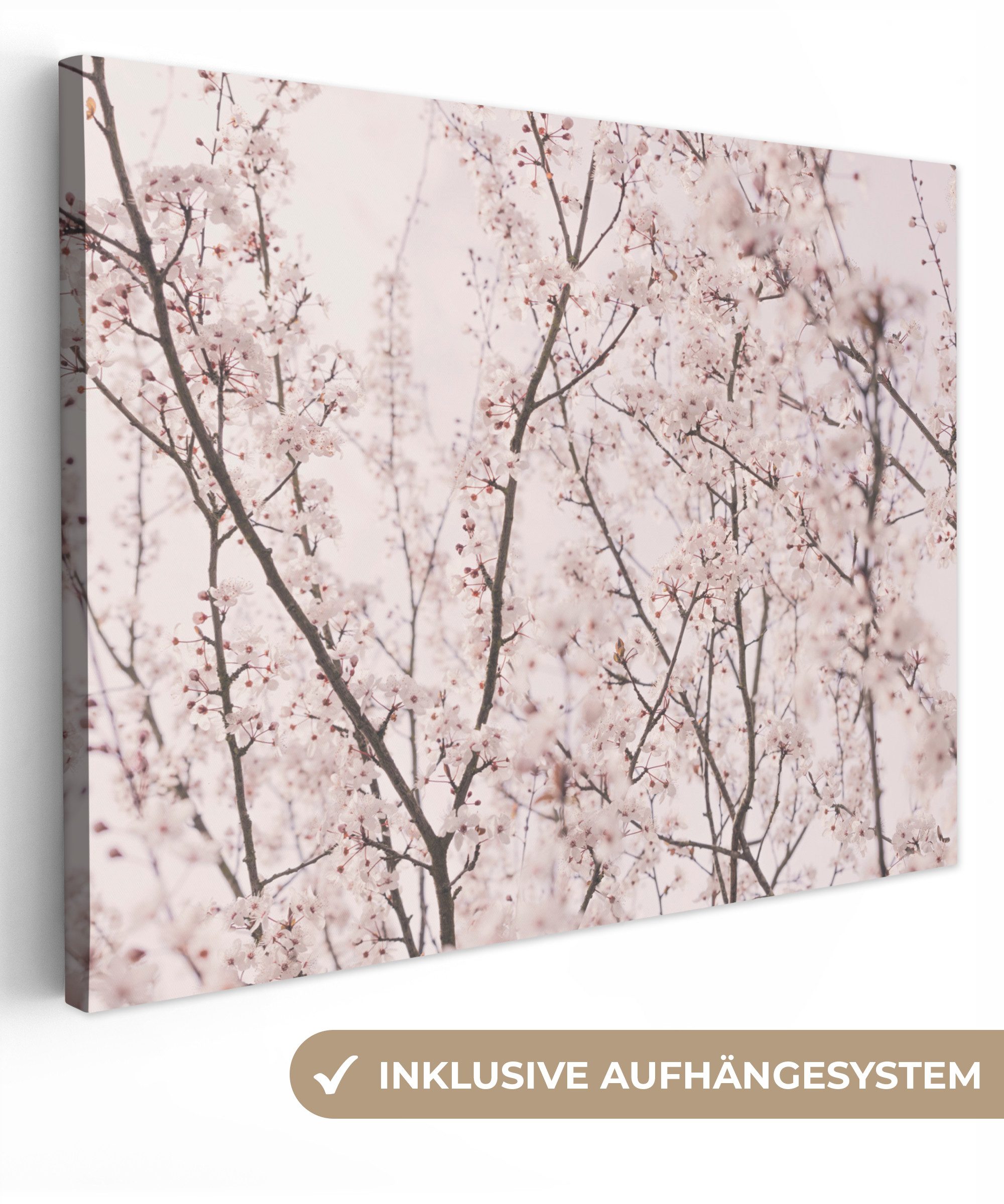 OneMillionCanvasses® Leinwandbild Blüte - Bäume - Äste - Natur - Rosa, Fotodruck (1 St), Wandbild Leinwandbilder, Aufhängefertig, Wanddeko 40x30 cm