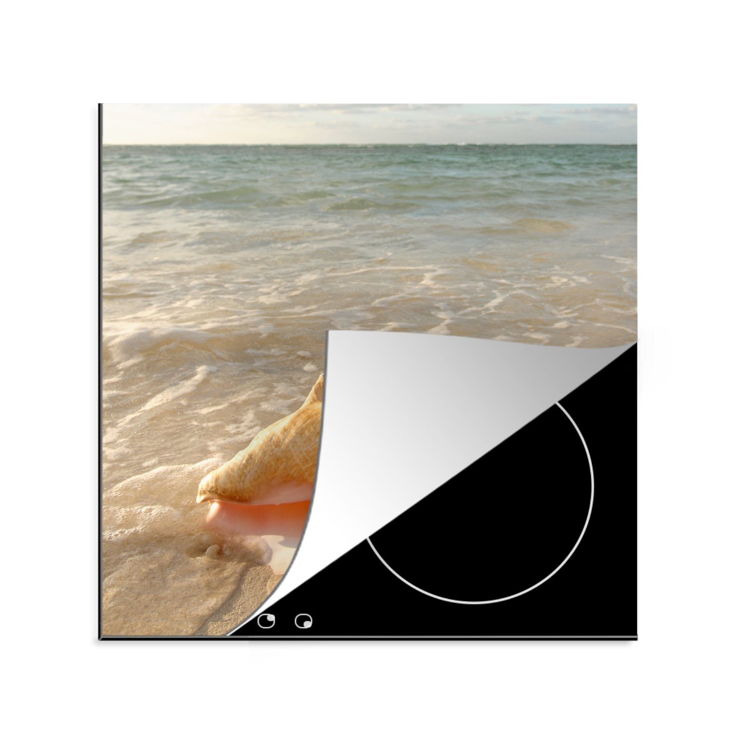 MuchoWow Herdblende-/Abdeckplatte Muschel - Meer - Himmel, Vinyl, (1 tlg), 78x78 cm, Ceranfeldabdeckung, Arbeitsplatte für küche