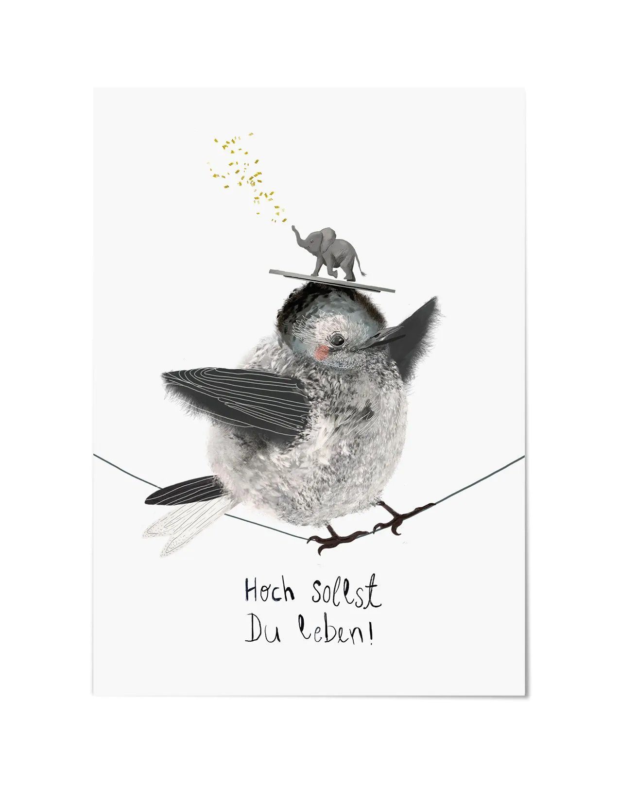 süß, lieblich Stück lokkedue LK Geburtstagskarten, 5 Style EDITION., Grußkarte frech, POSTKARTENSET Trend & BIRDDAY witzig, HAPPY