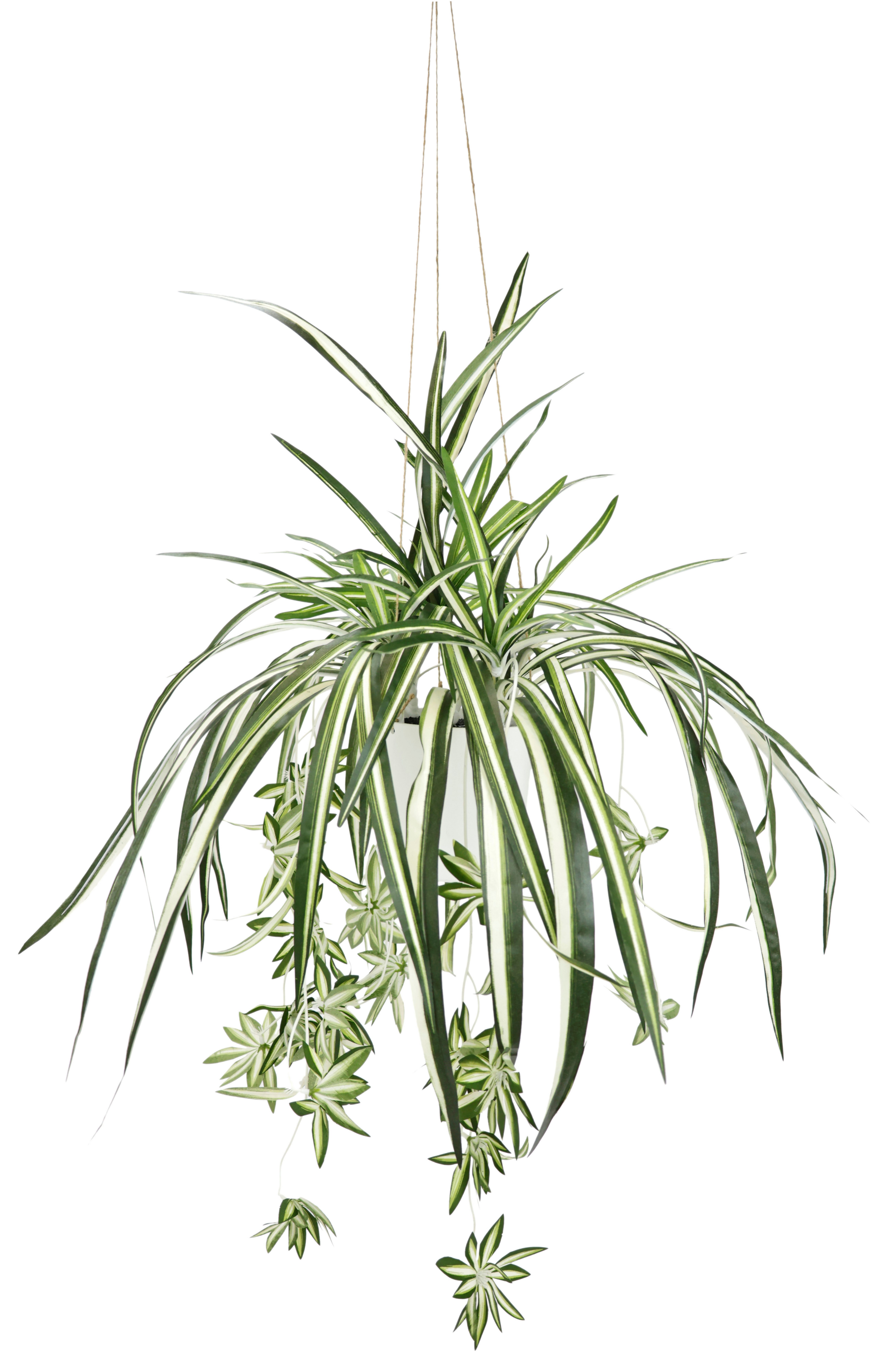Kunstpflanze Wasserlilie hängend, I.GE.A., Höhe 65 cm, Mit Hängeampel Grünlilie Grünpflanze Chlorophytum Kunstblume Dekoblume