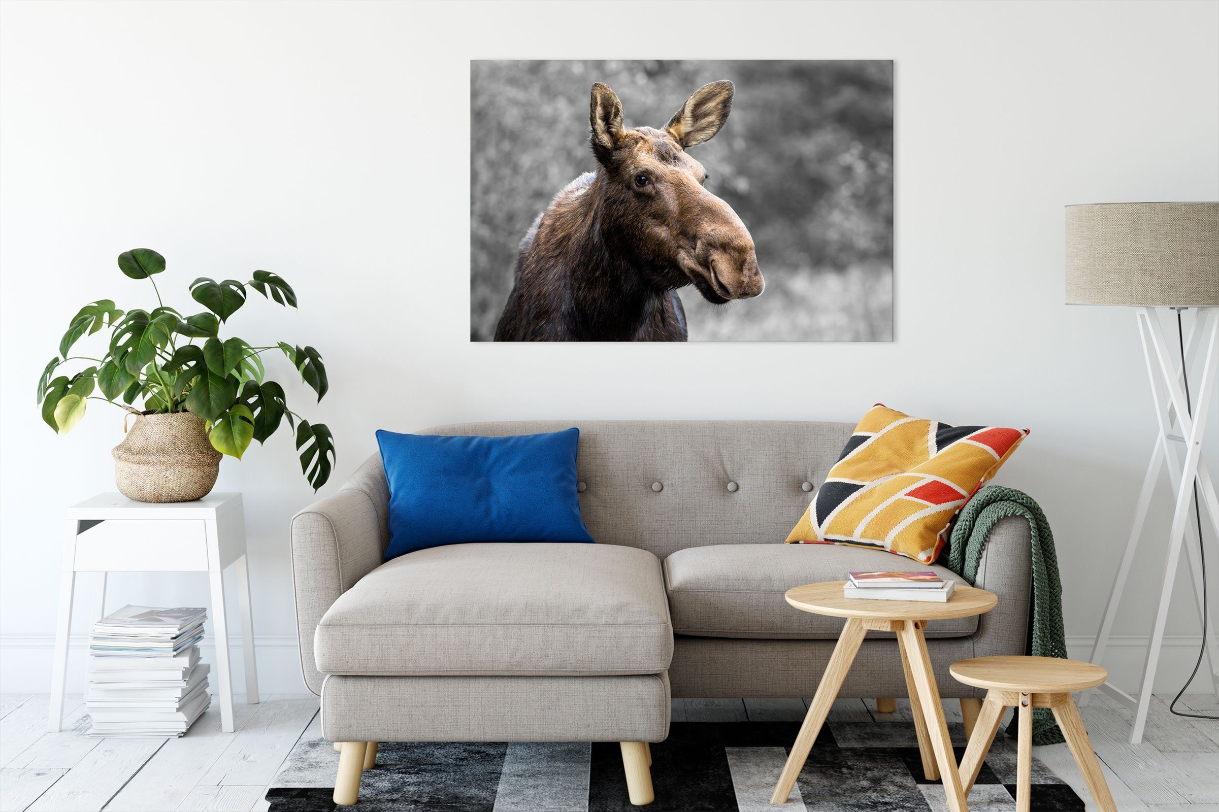 Pixxprint Leinwandbild Elch im Wald, Elch im Wald (1 St), Leinwandbild fert günstig online kaufen